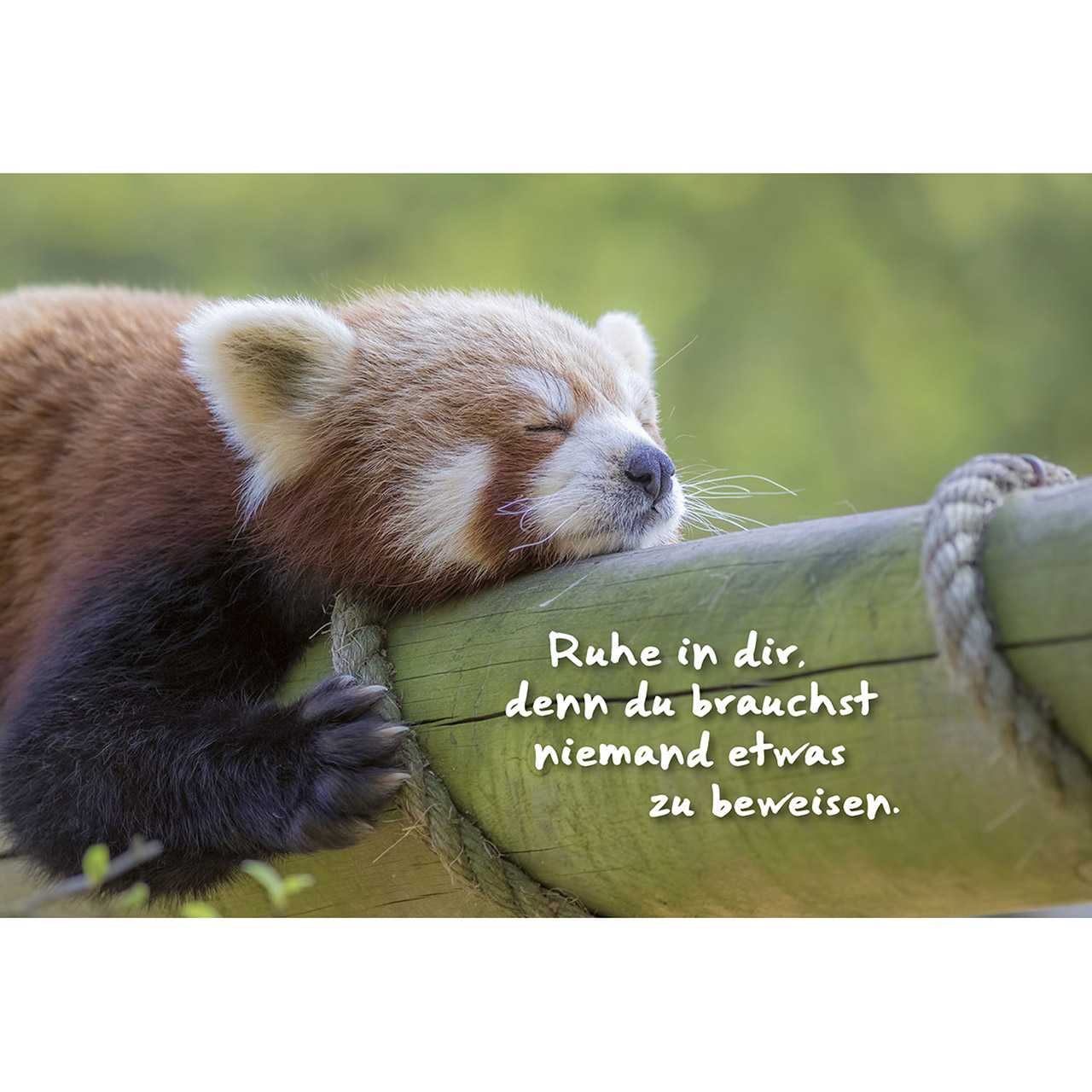 Aufstellbuch - Angesagt - Mikrofon