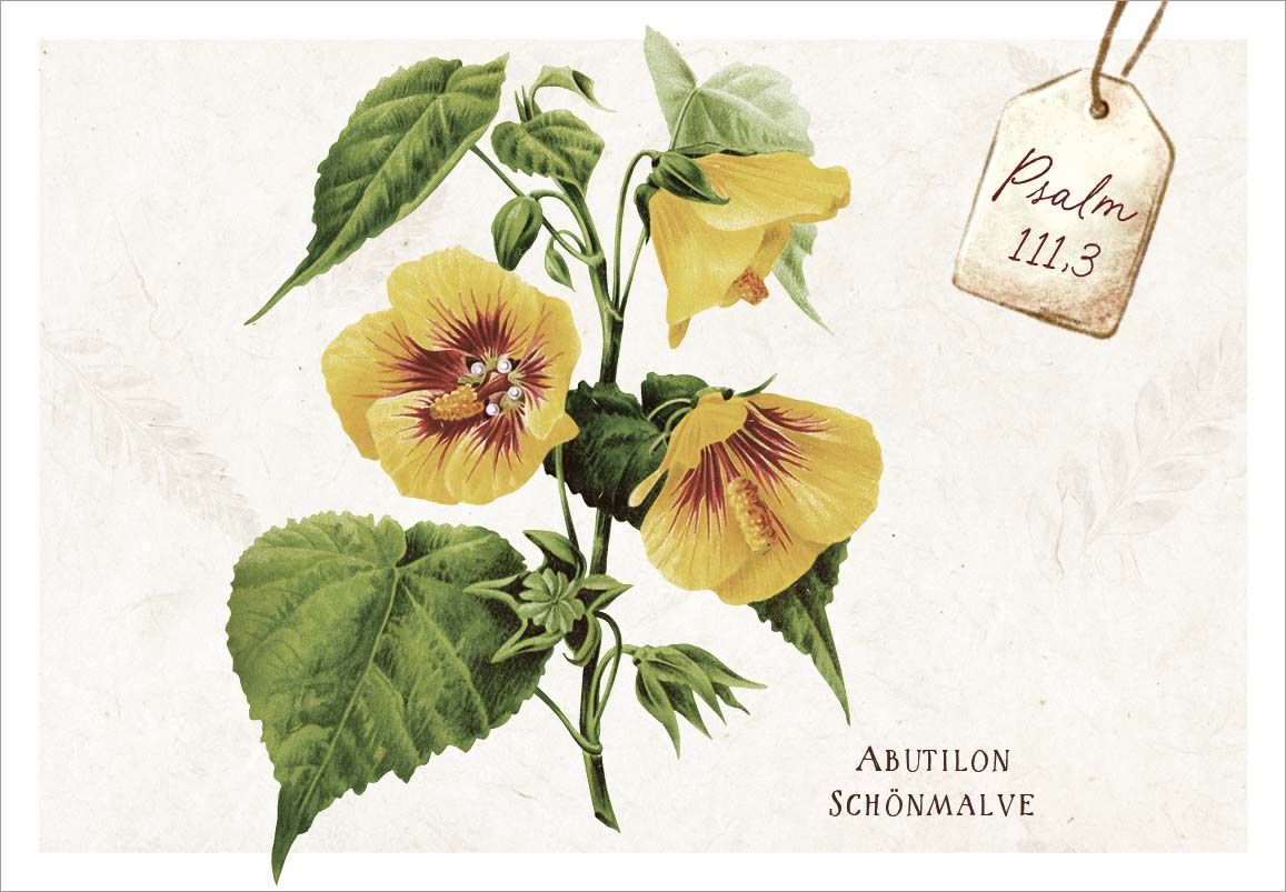 Karten-Box Papier - Neujahrslose "Meisterwerke" - Vogel Ast Früchte Blätter