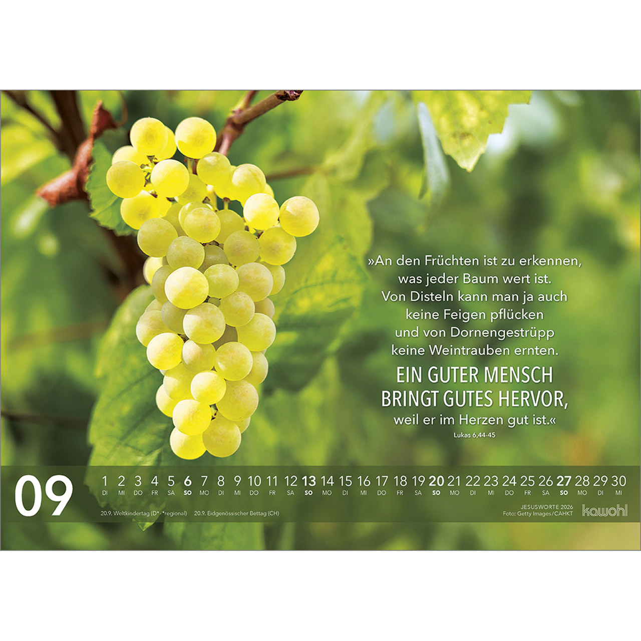 Wandkalender - Jesus Worte 2026