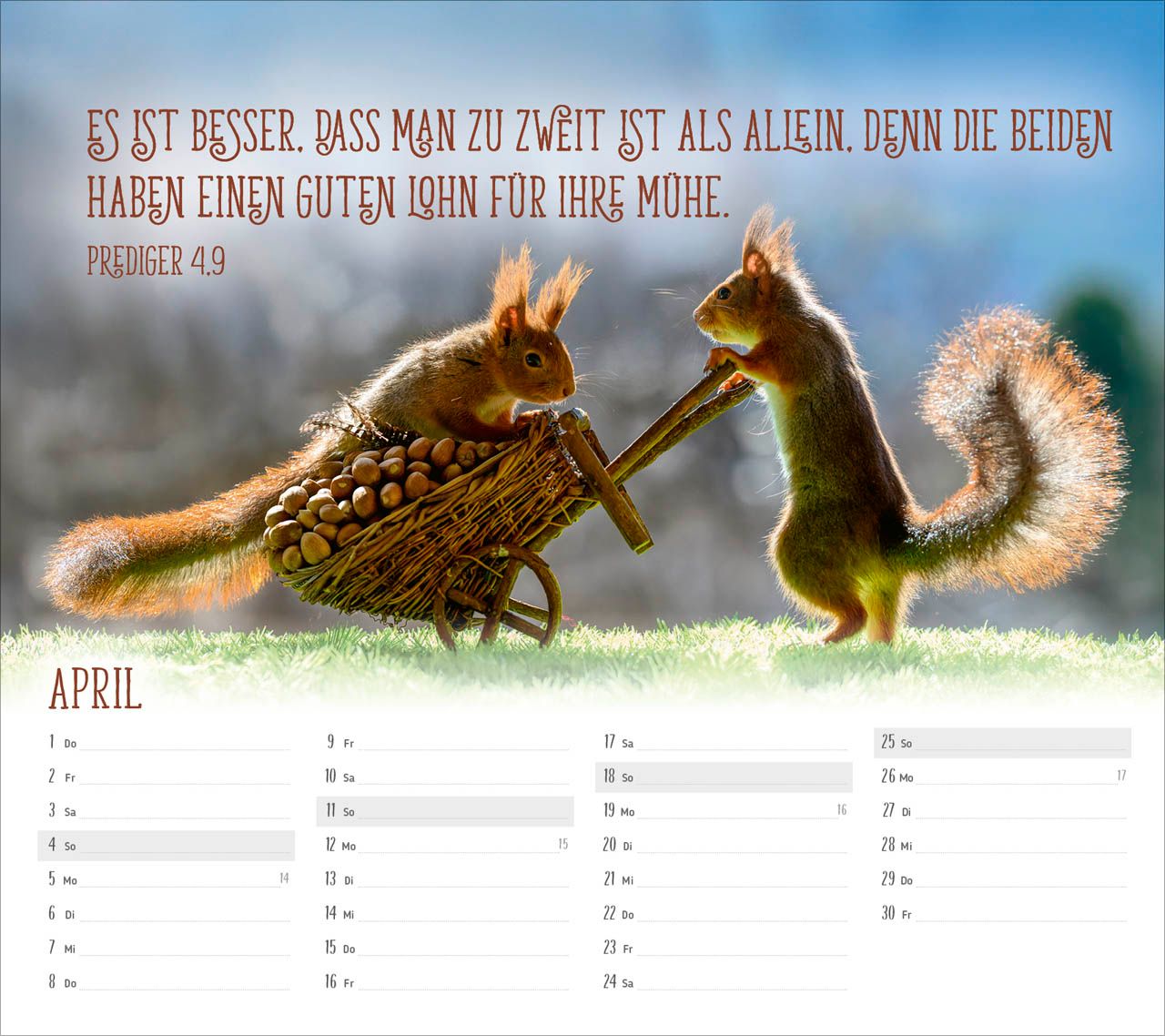 Tischkalender - Du sorgst für mich 2027