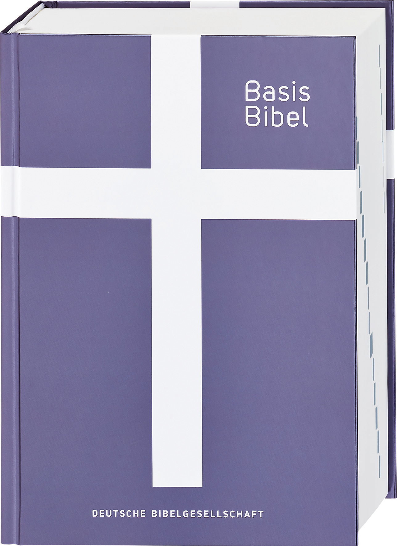 BasisBibel. Die Kompakte. Violett