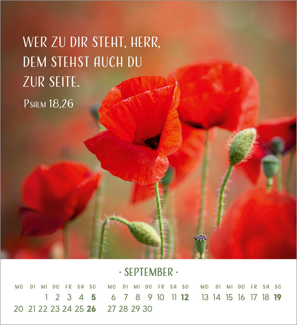 Tischkalender - Zarte Blumengrüße 2027