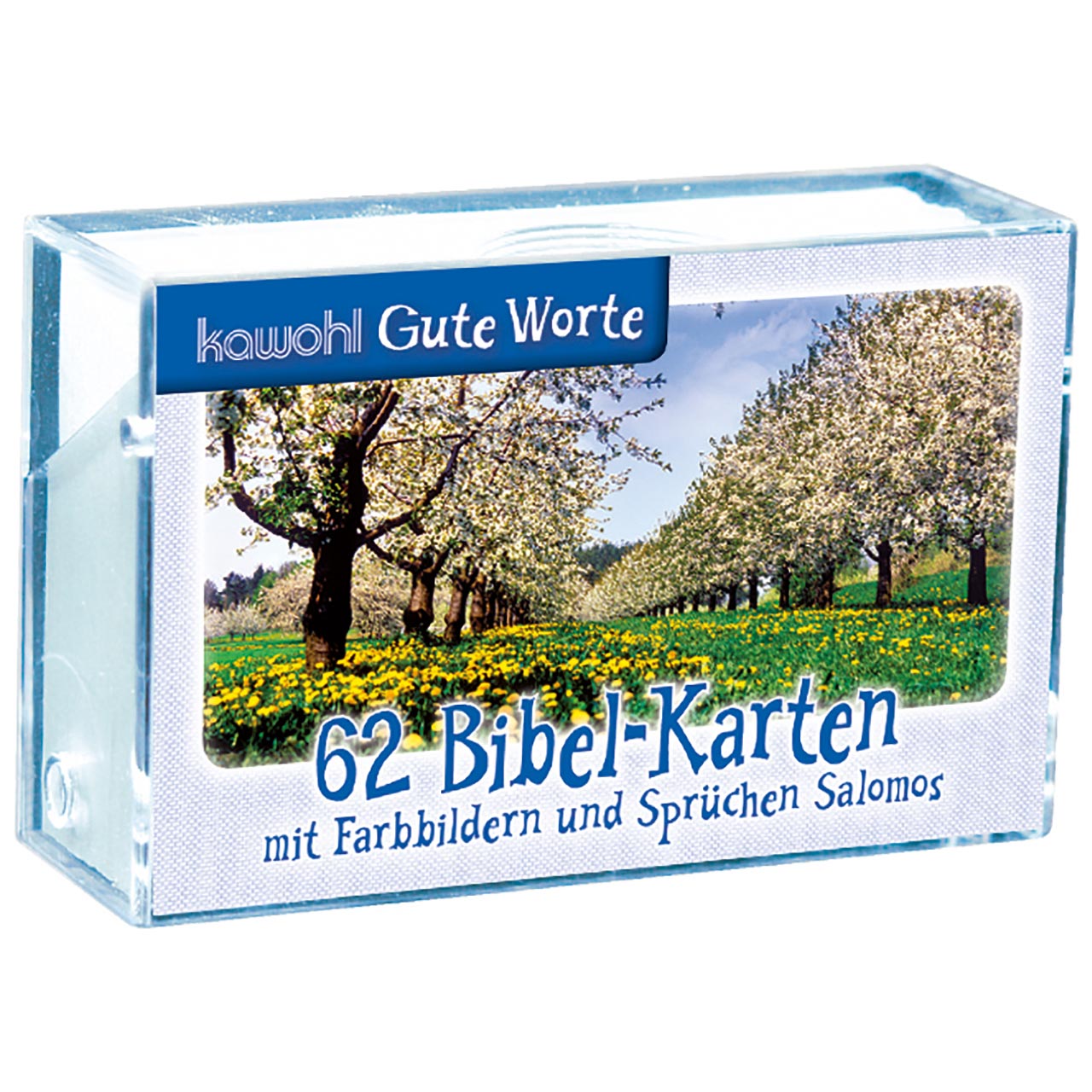 Bibel-Karten