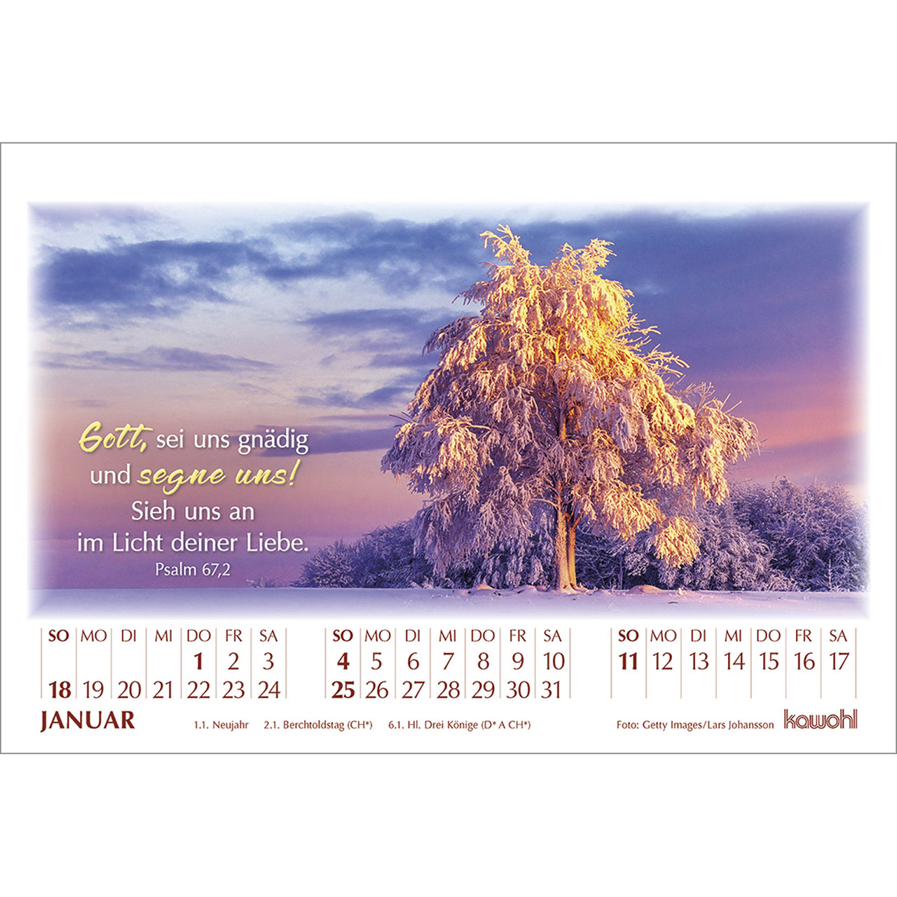 Tischkalender - In seinem Licht 2026