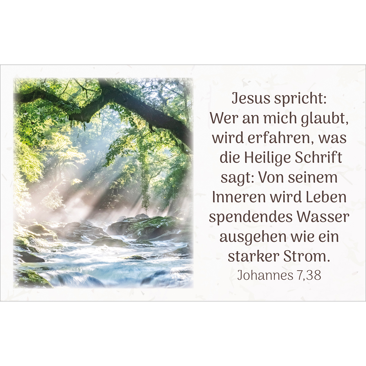 Karten-Box Kunststoff - Himmlische Zusagen - Wald Lavendel Bäume Weg