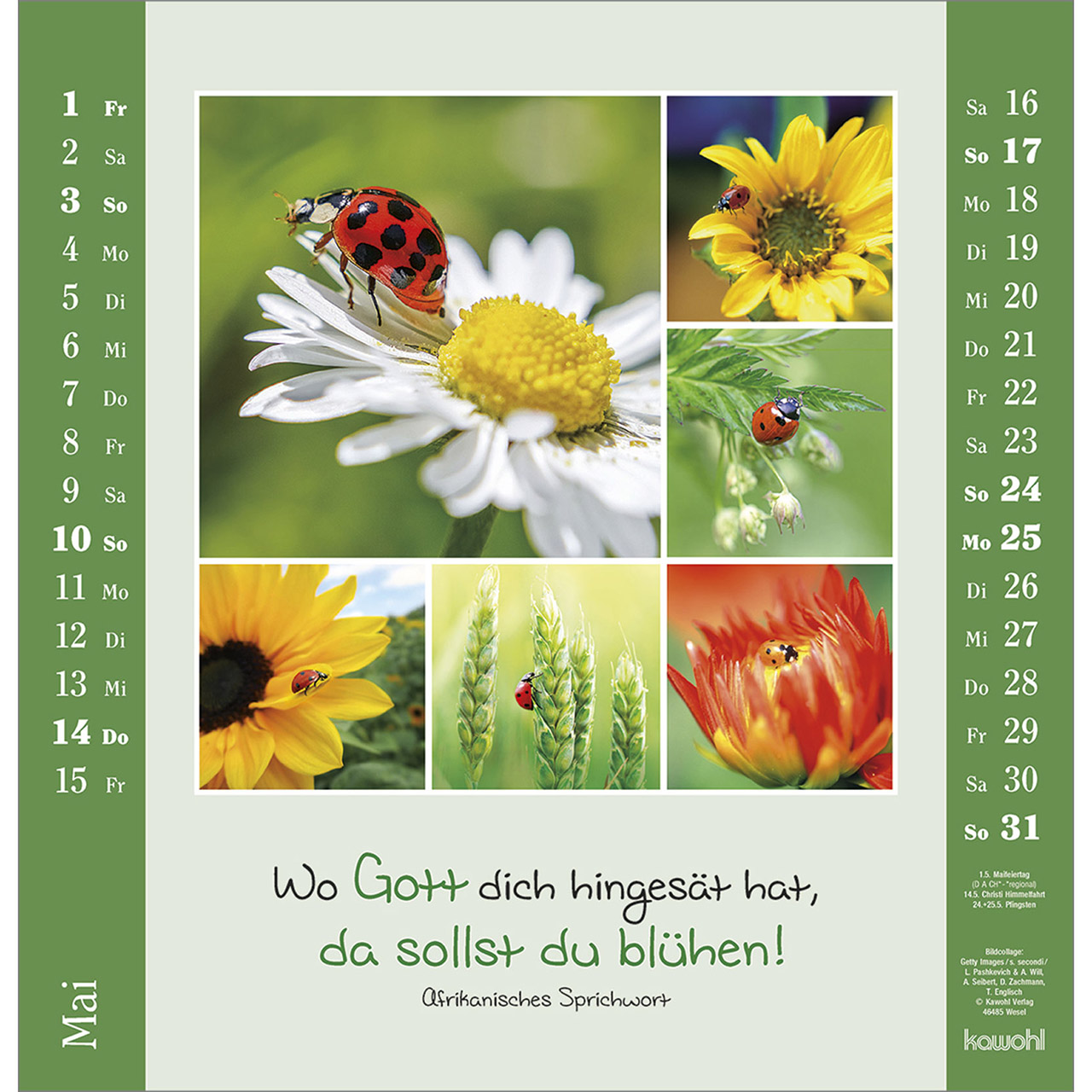 Wandkalender - Kleine Freuden entdecken 2026