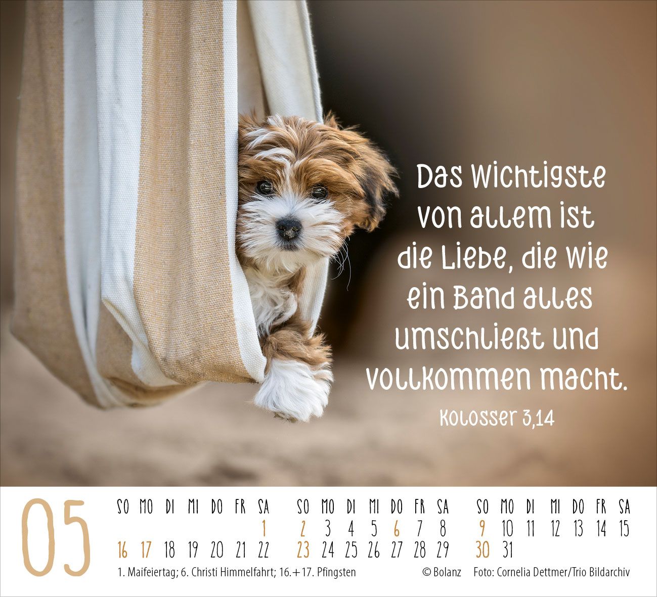 Aufstellkalender - Begegnungen 2027 Minikalender