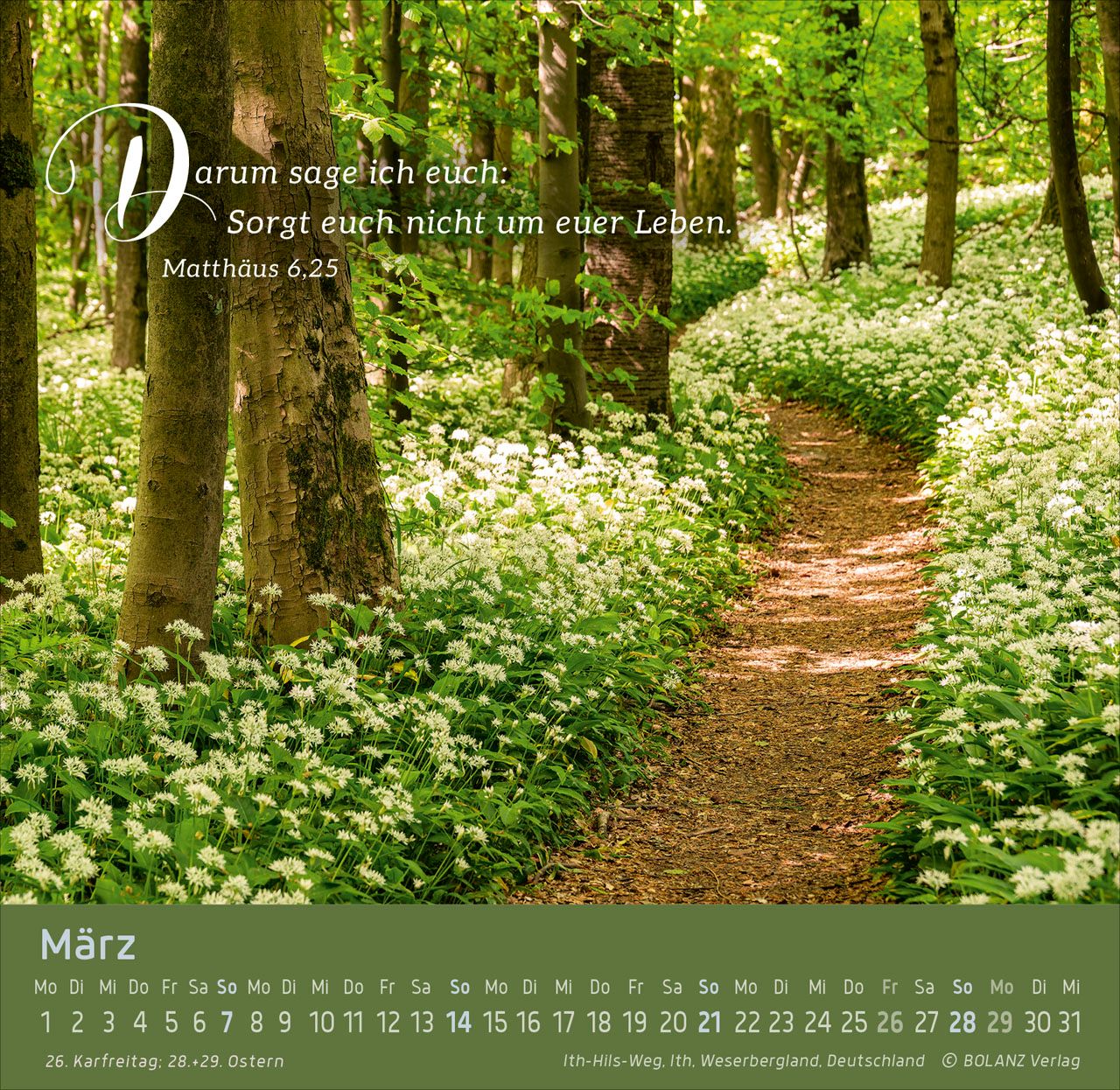 Tischkalender - Weg - Licht - Leben 2027 Tischkalender