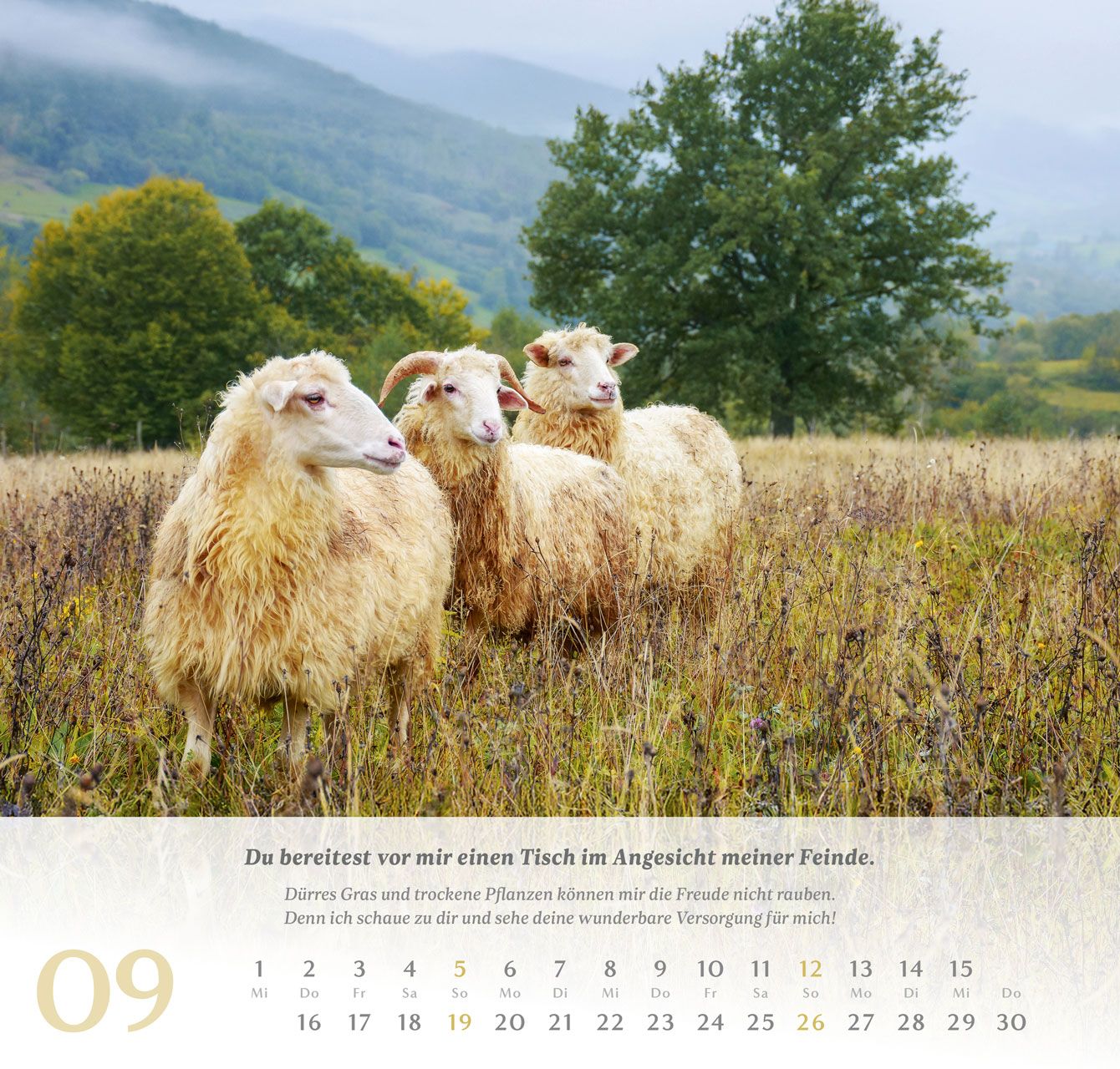 Wandkalender - Psalm 23 2027 Wandkalender