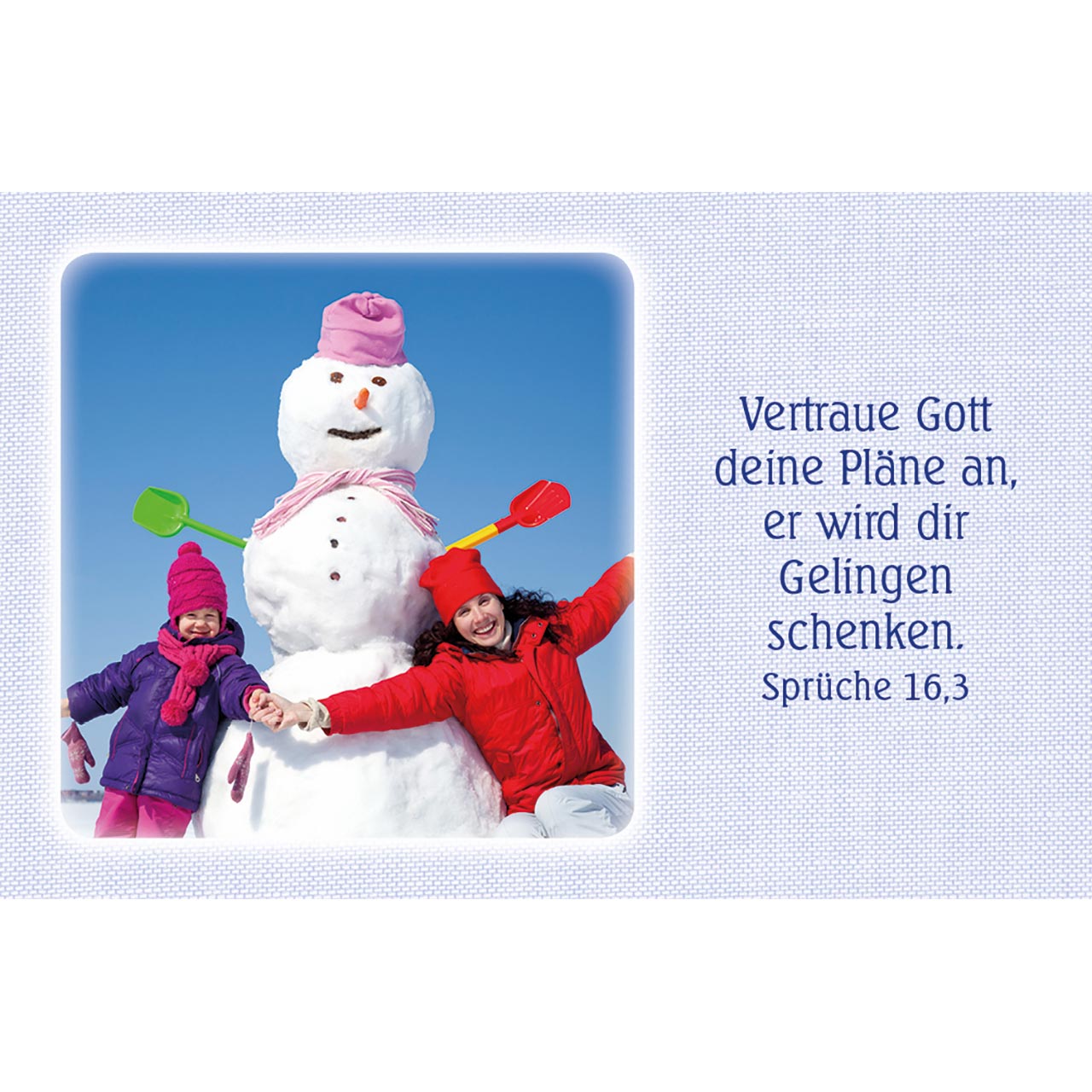 Karten-Box Kunststoff - Bibel-Karten - Bäume Blumenwiese