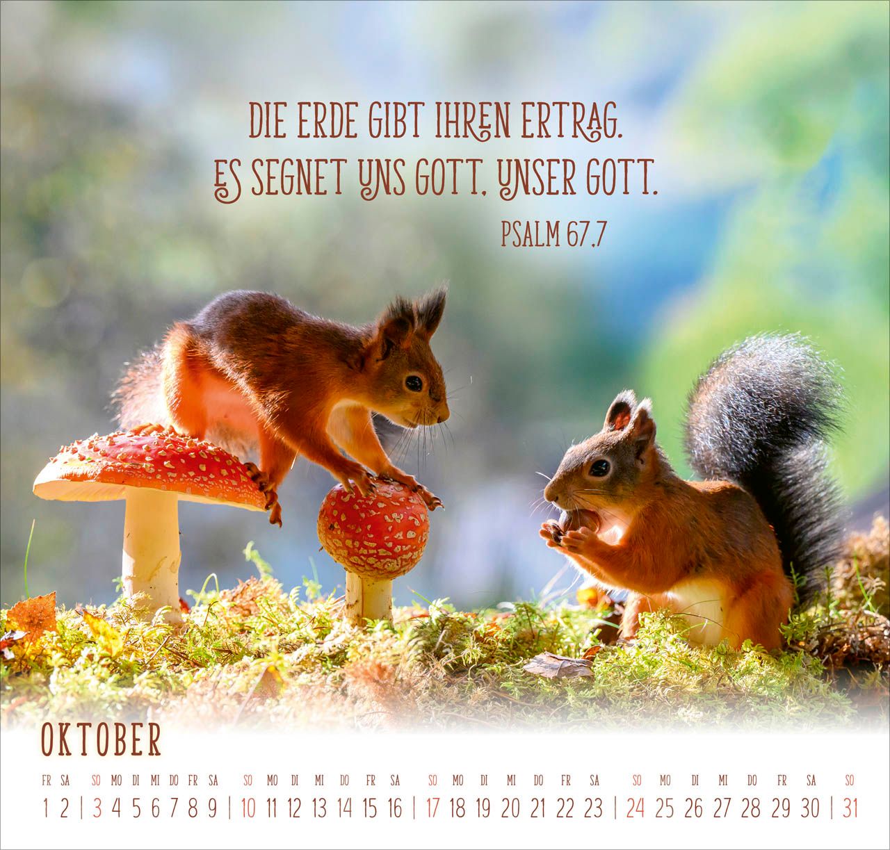 Wandkalender - Du machst mich froh 2027