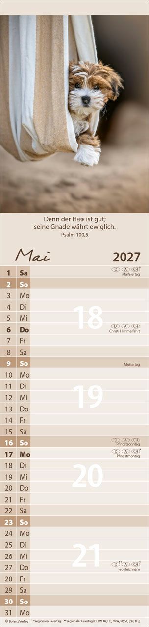 Terminkalender - Für Euch 2027 Streifenterminkalender