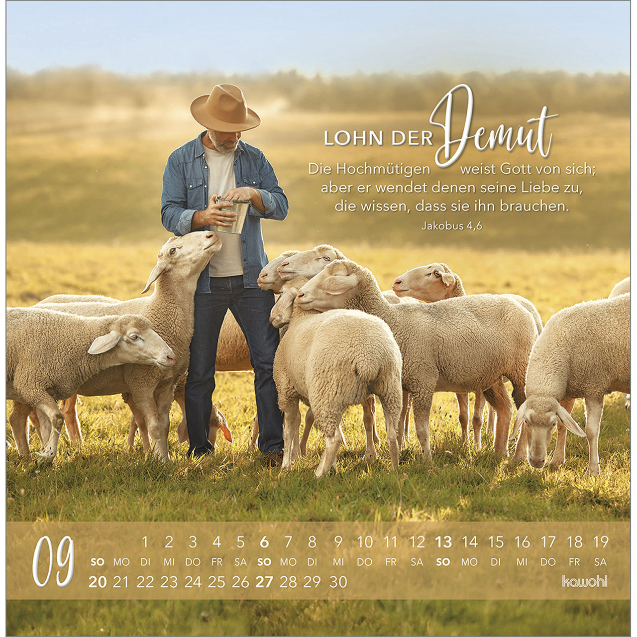 Postkartenkalender - Die Liebe bleibt bestehn 2026