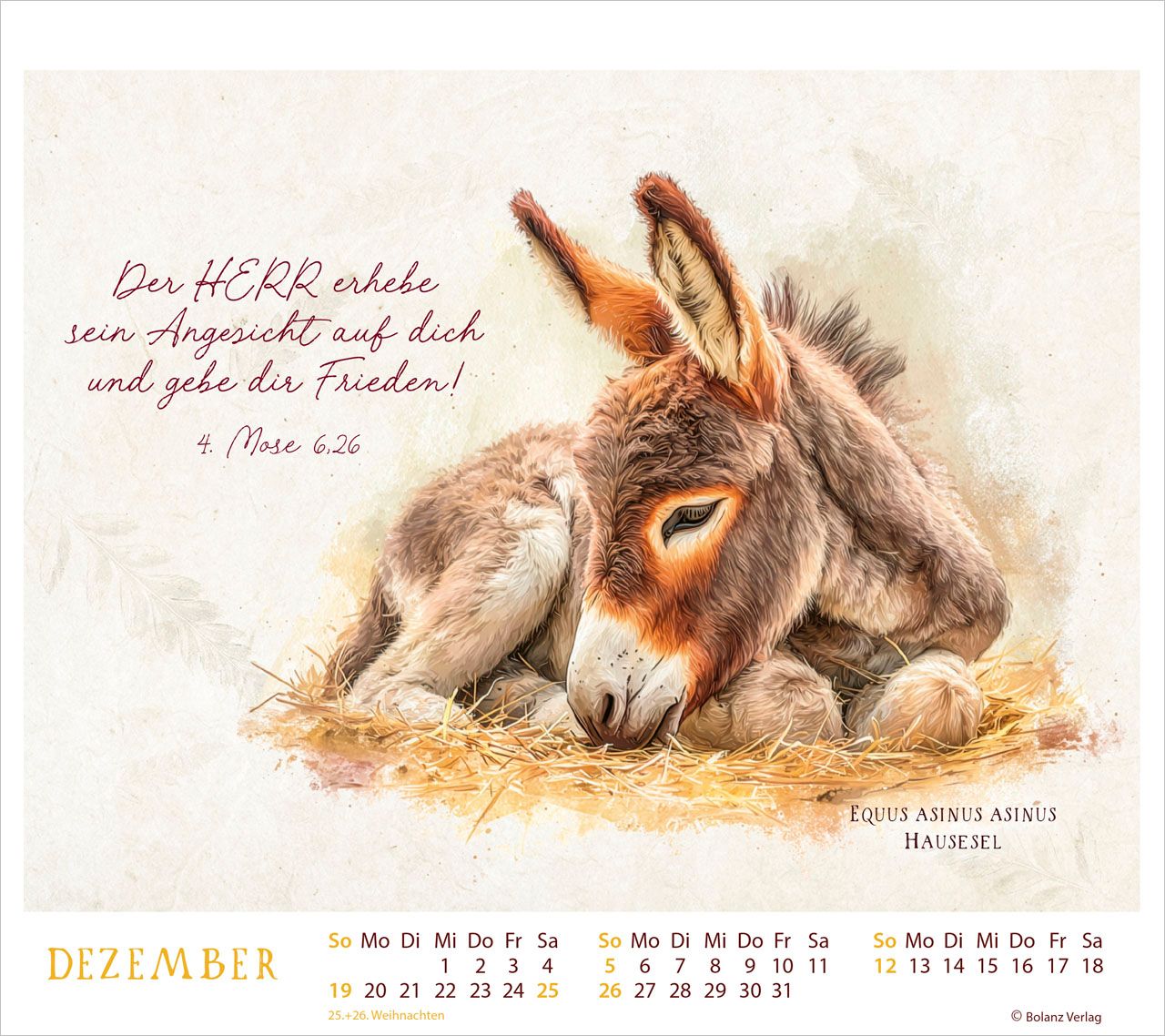Tischkalender - Meisterwerke des Schöpfers 2027