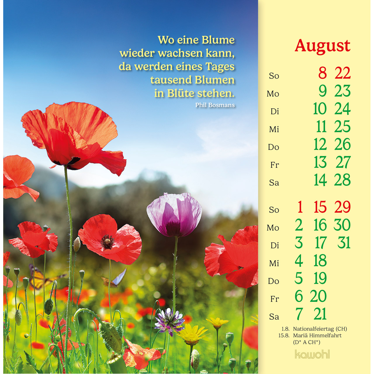 Postkartenkalender - Phil Bosmans - Postkarten-Kalender 2027