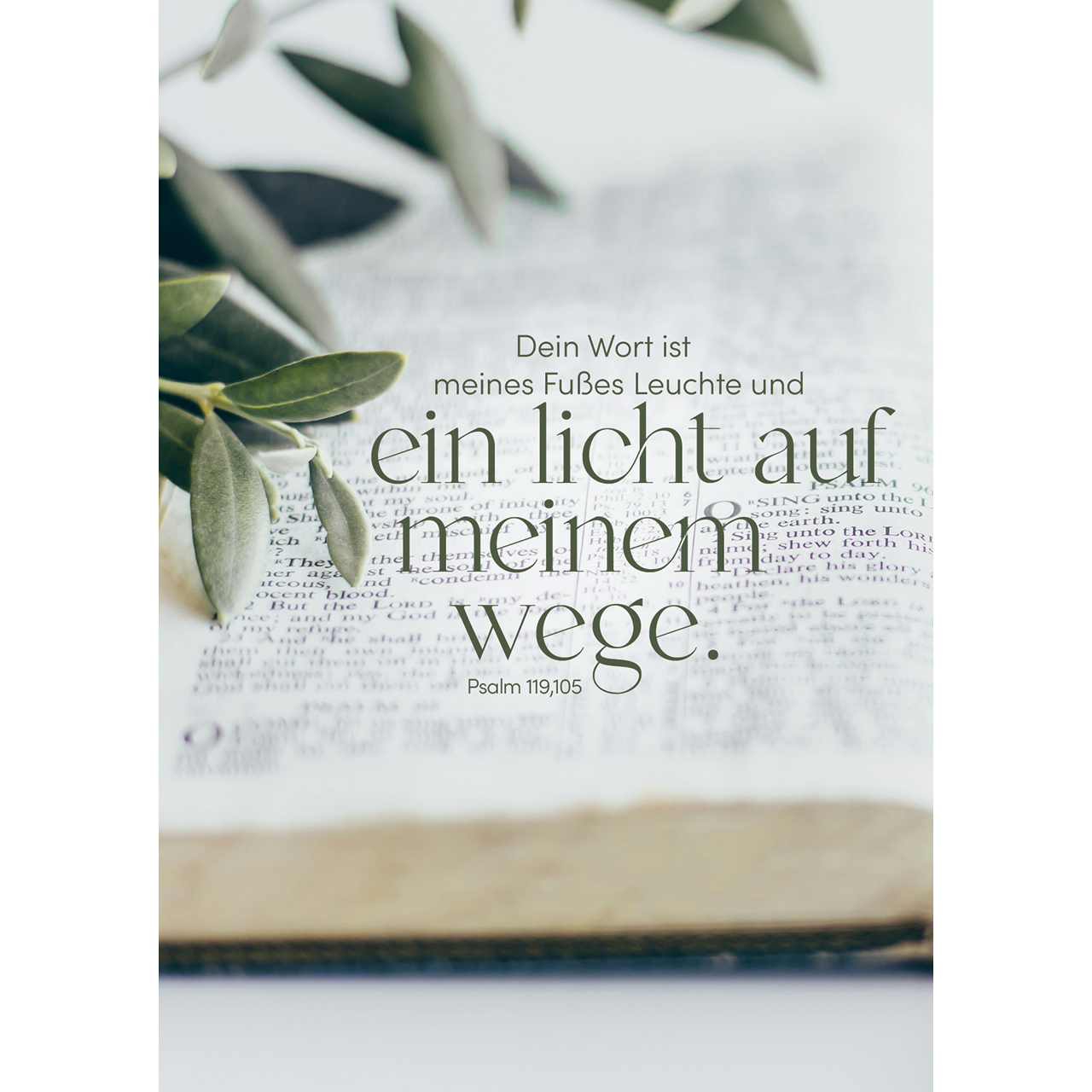 Postkarten - Dein Wort ist meines Fußes Leuchte - Bibel Zweig Grafik Buch