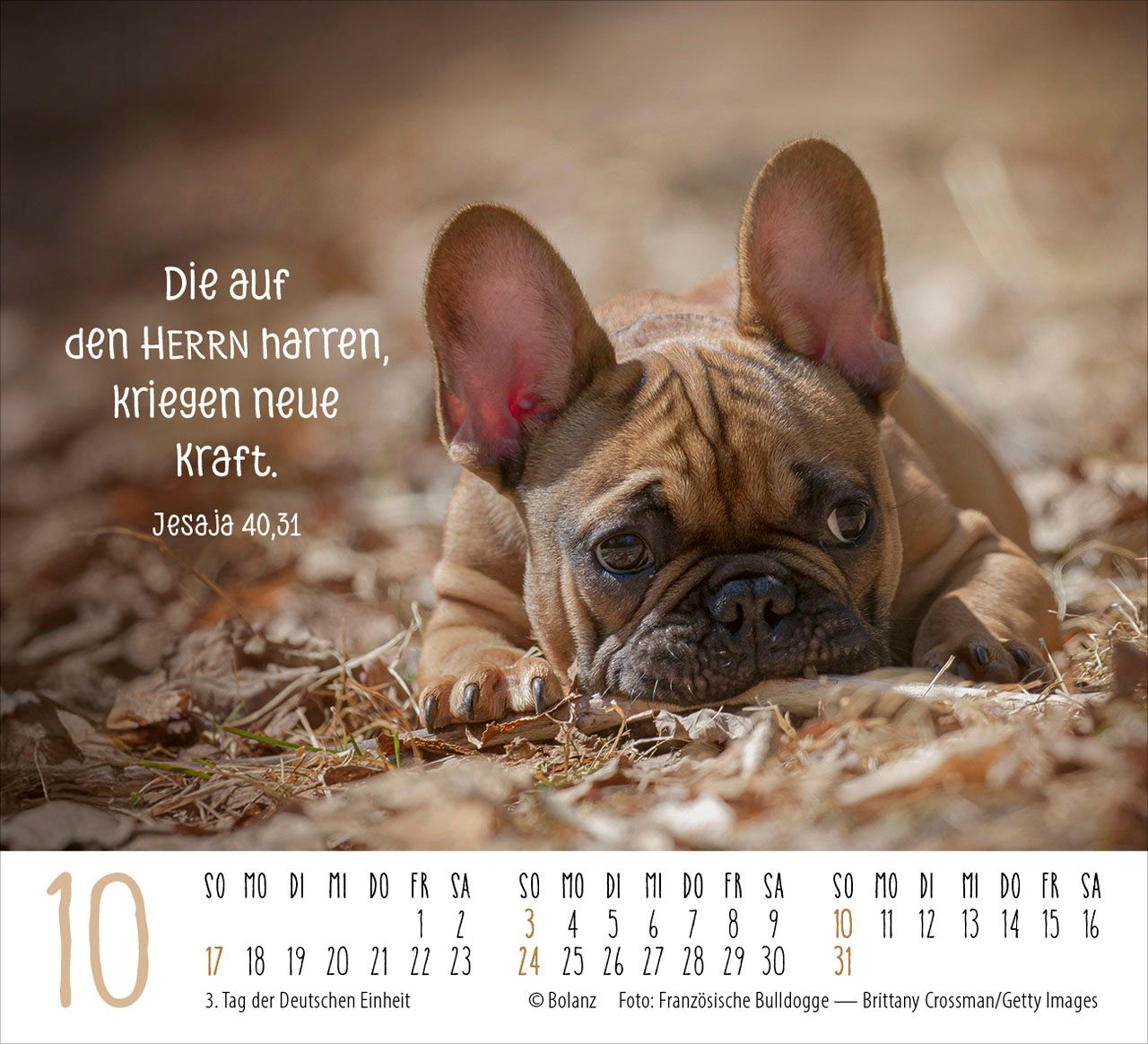 Aufstellkalender - Hunde 2027