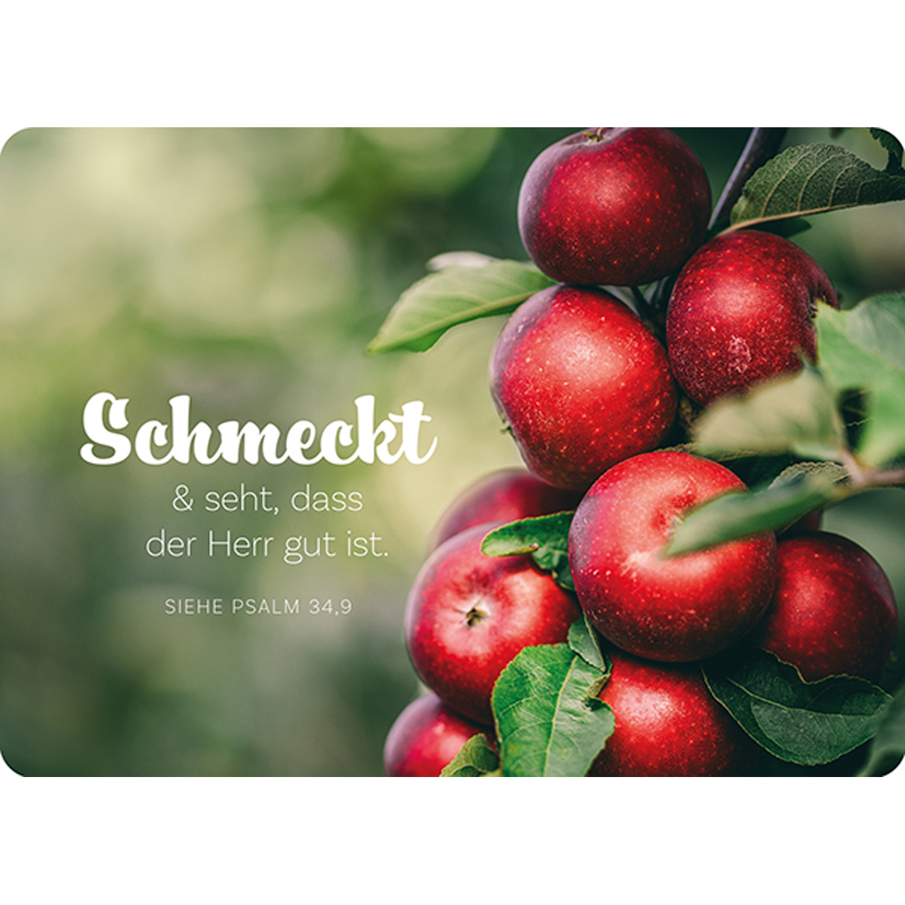Postkarte - Postkarte 'Schmeckt & seht, dass der Herr gut ist.' (Äpfel)           Siehe Psal