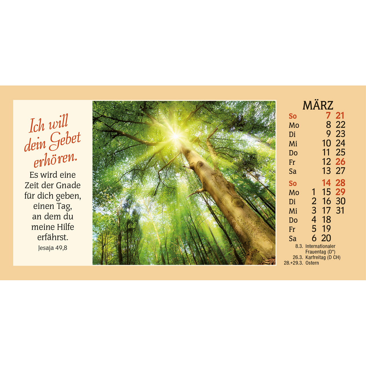 Autokalender - Auf allen Wegen 2027