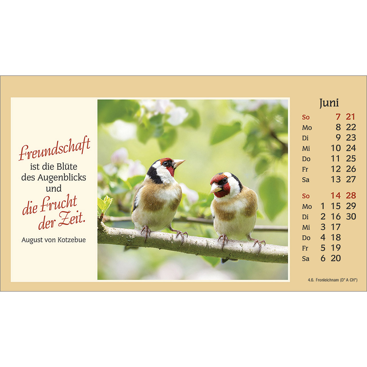 Tischkalender - Der kleine Begleiter 2026