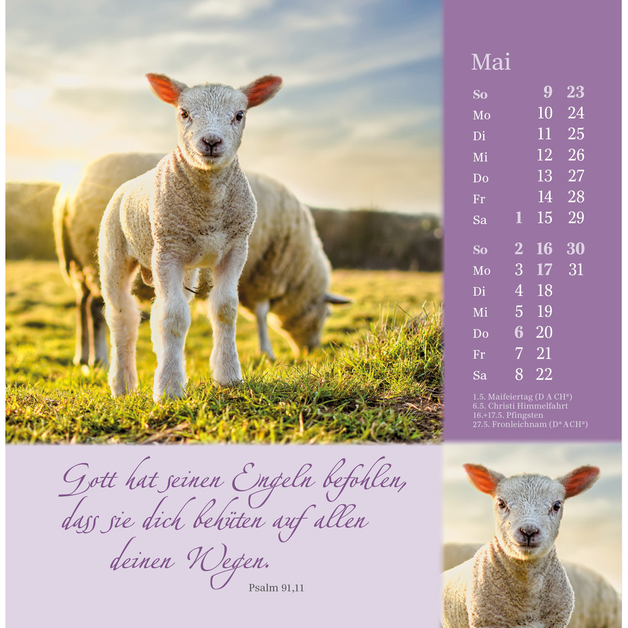 Postkartenkalender - Sei behütet und gesegnet 2027