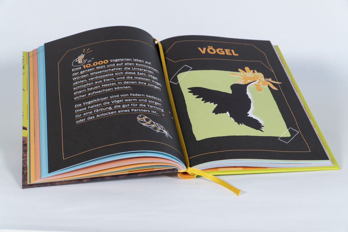 Buch - Tierisch gute Momente mit Gott