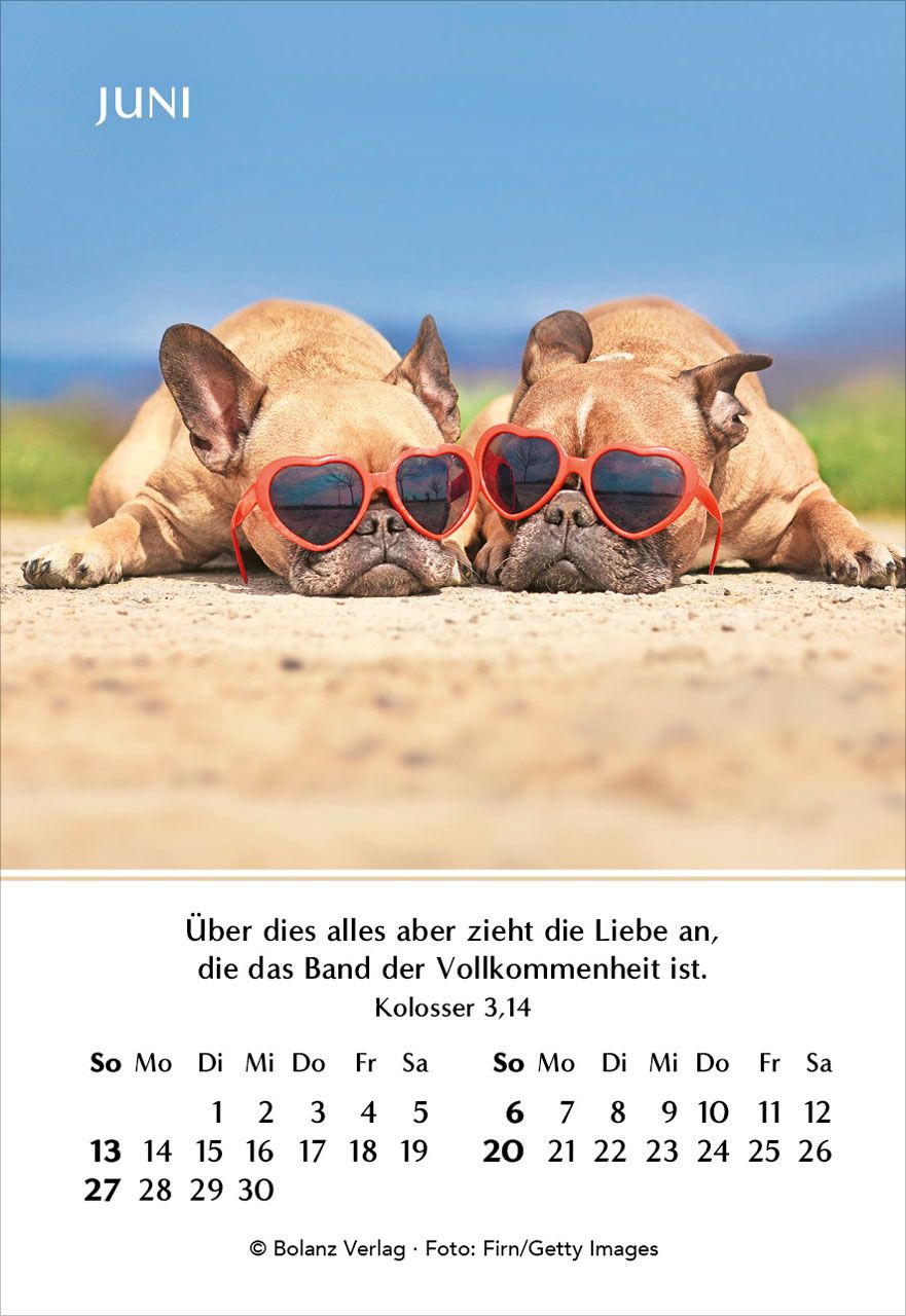 Aufstellkalender - Ein Jahr der Geborgenheit 2027