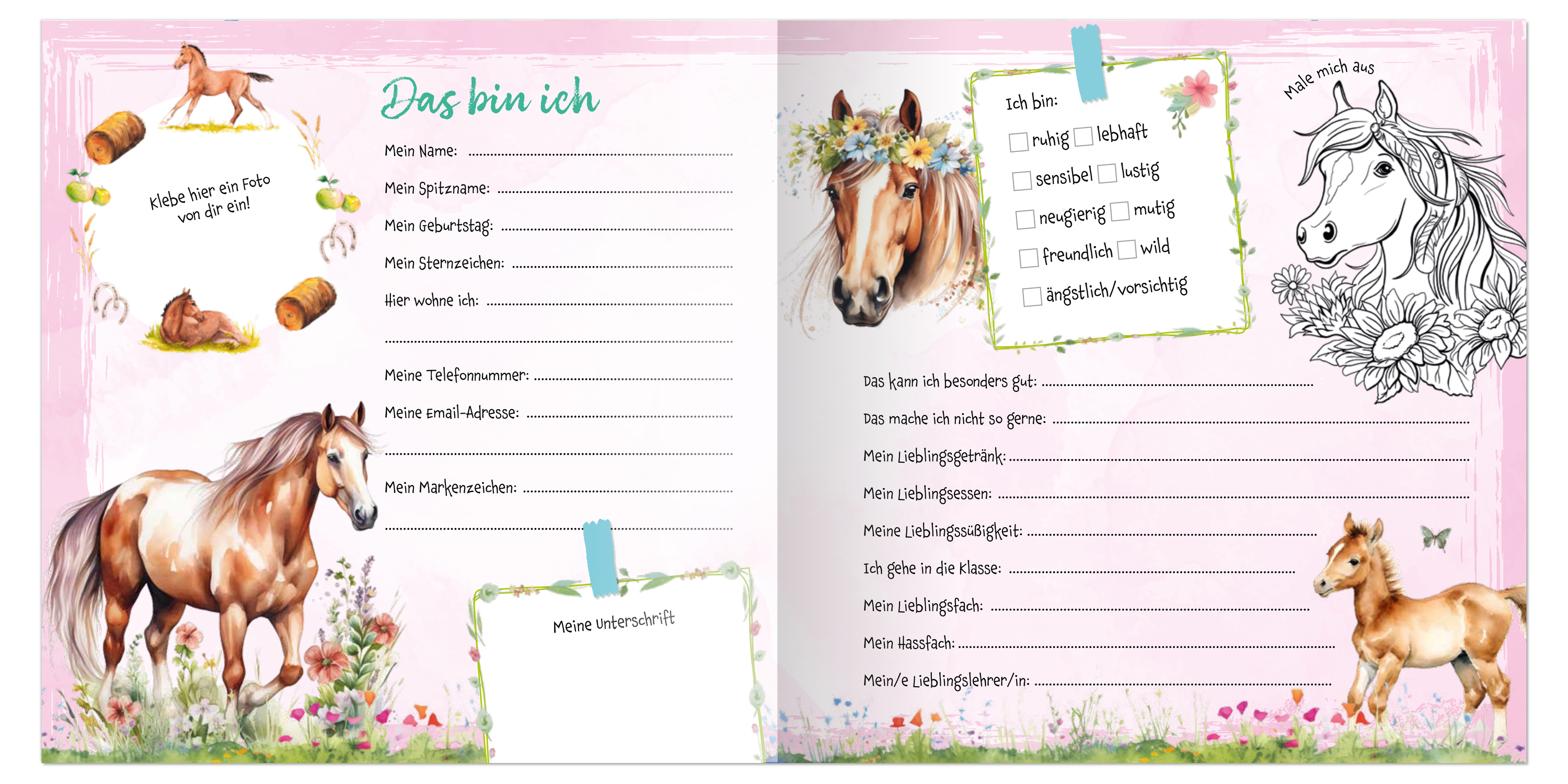 Buch - Meine Schulfreunde