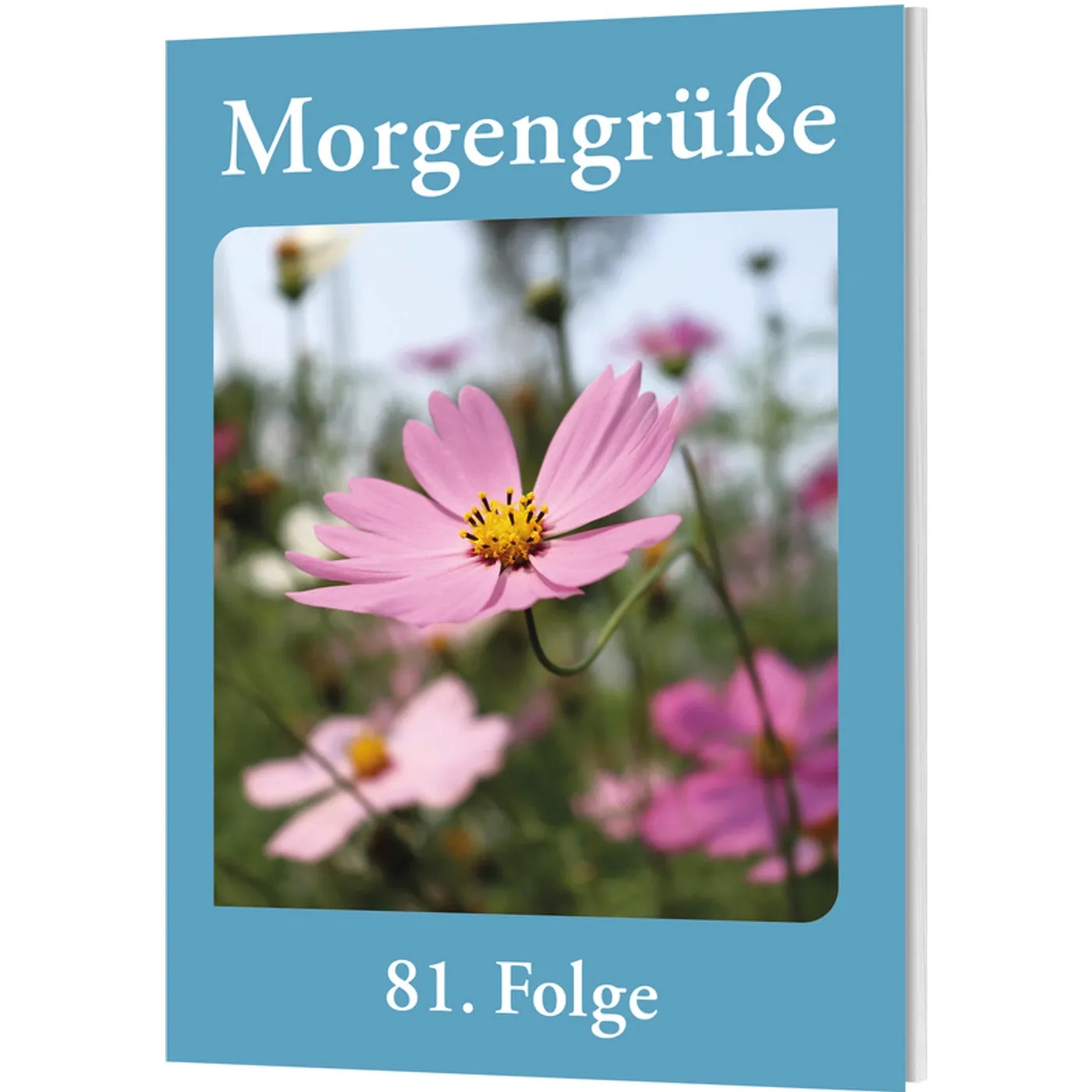 Buchkalender - Morgengrüße 81. Folge