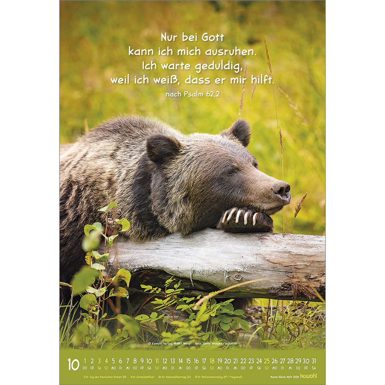 Wandkalender - Meine kleine Welt 2026