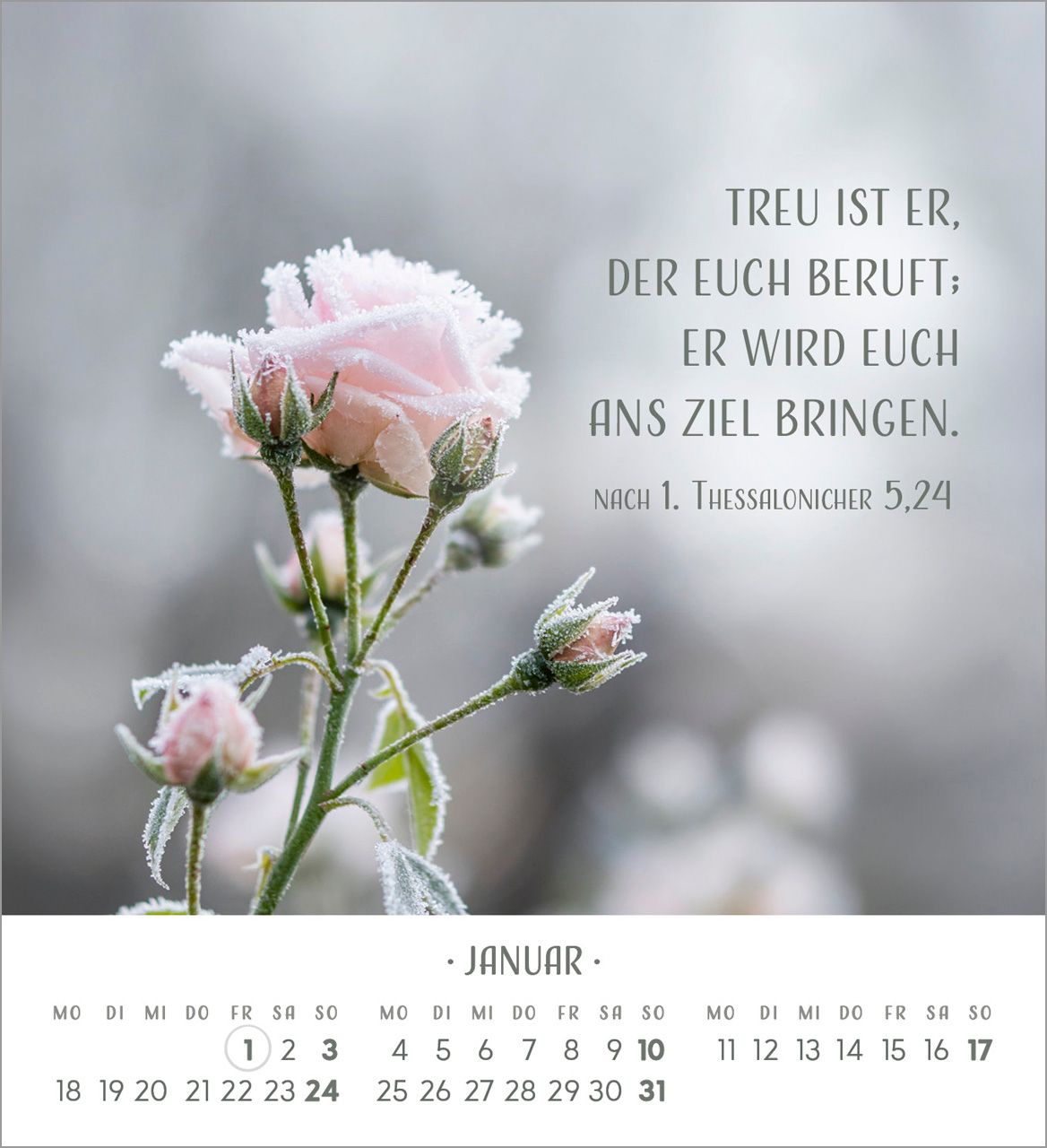 Tischkalender - Zarte Blumengrüße 2027