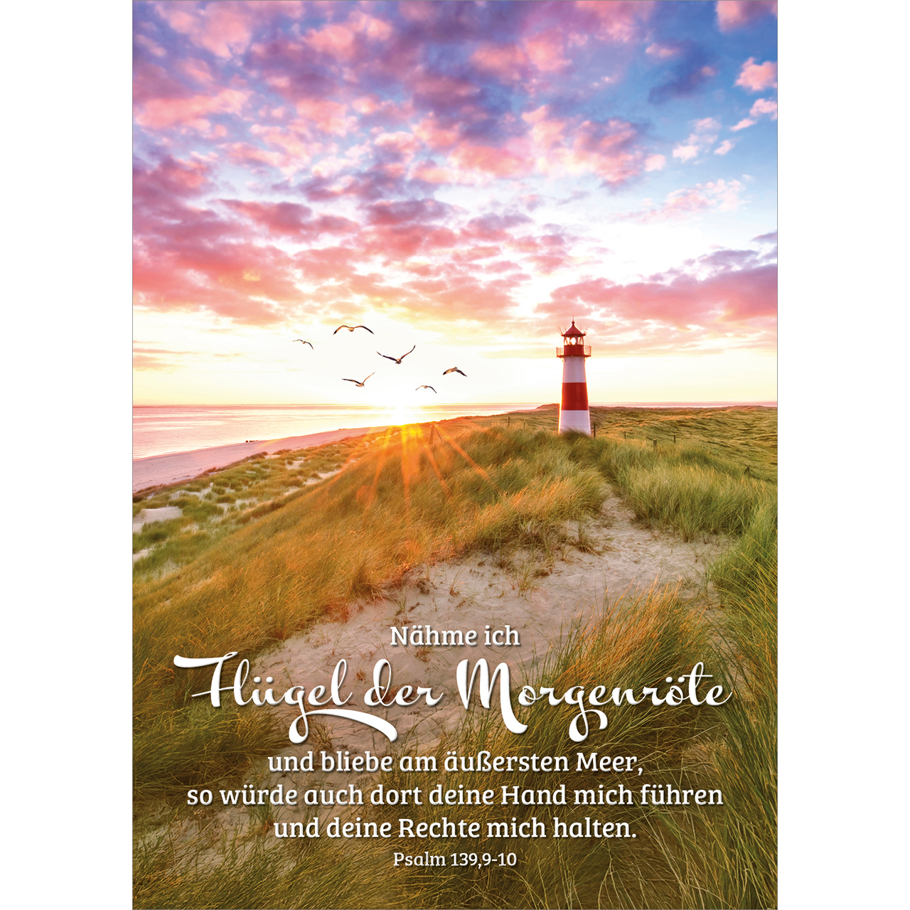 Postkarten - Nähme ich Flügel der Morgenröte - Vögel Leuchtturm Meer Dünen Wolken Sonne Sand