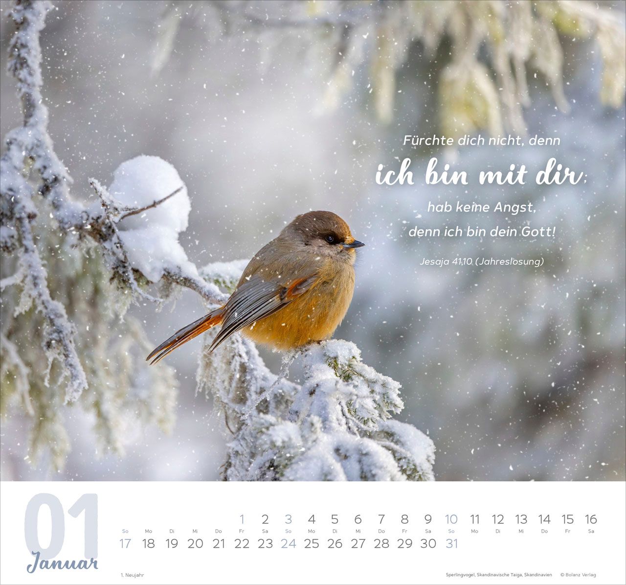 Wandkalender - Meine Zeit 2027 Wandkalender