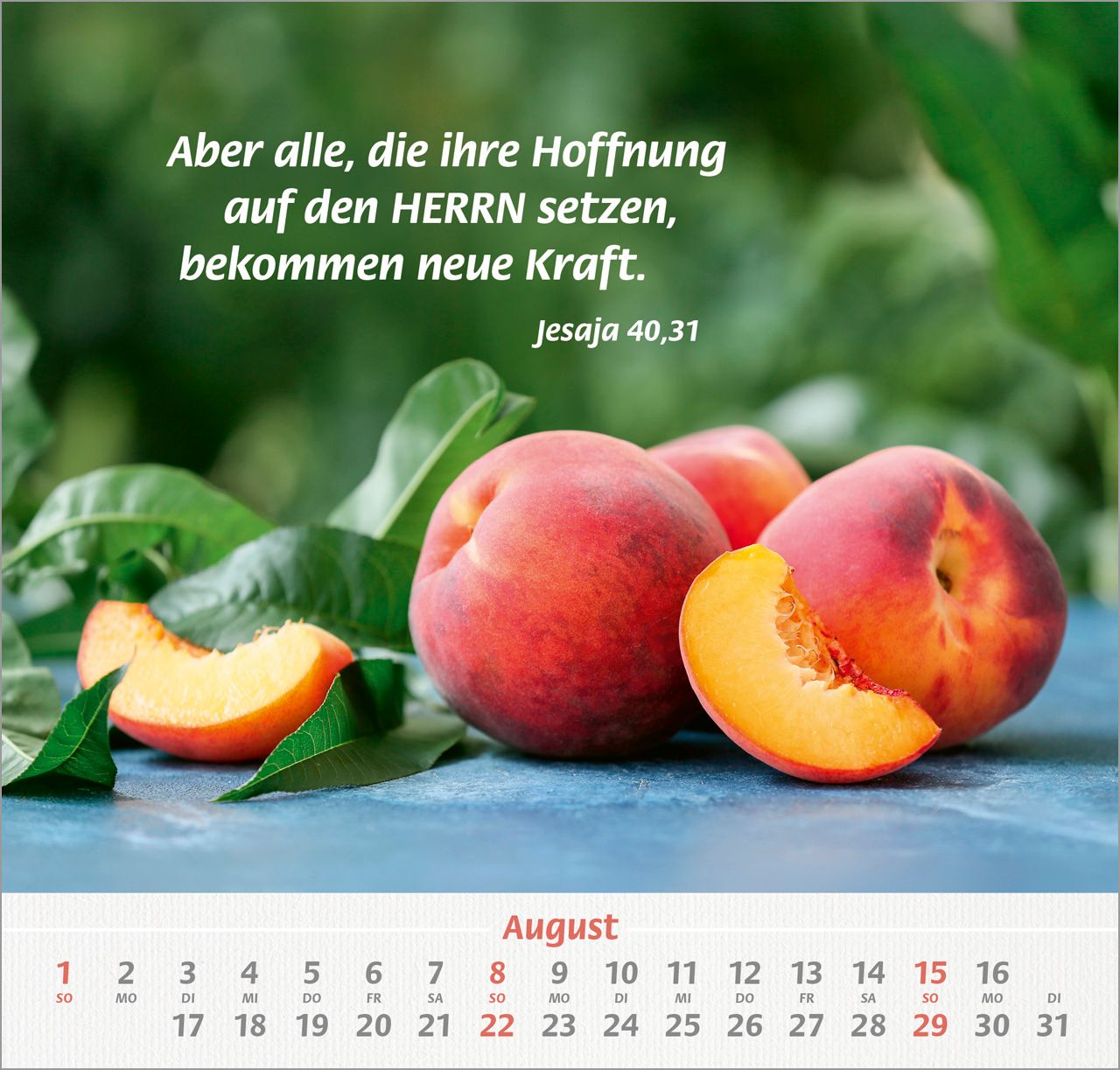 Wandkalender - Denn du bist bei mir 2027 Wandkalender
