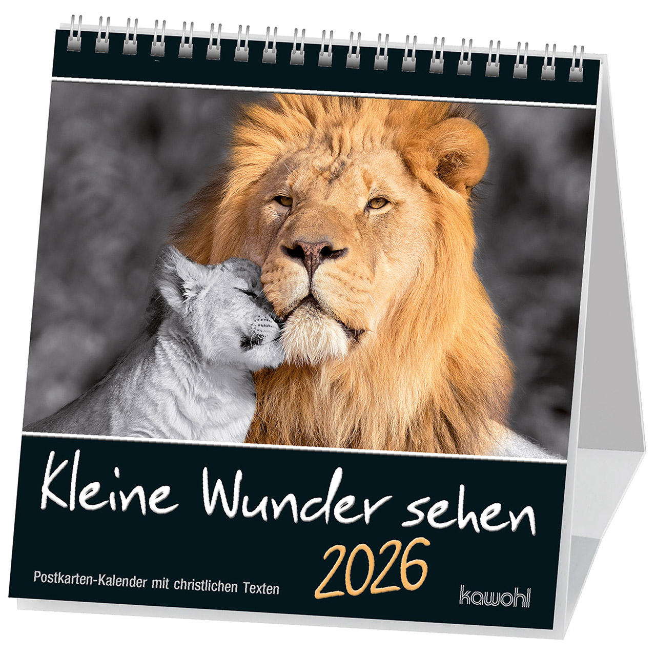 Kleine Wunder sehen 2026 Postkartenkalender - Kleine Wunder sehen 2026