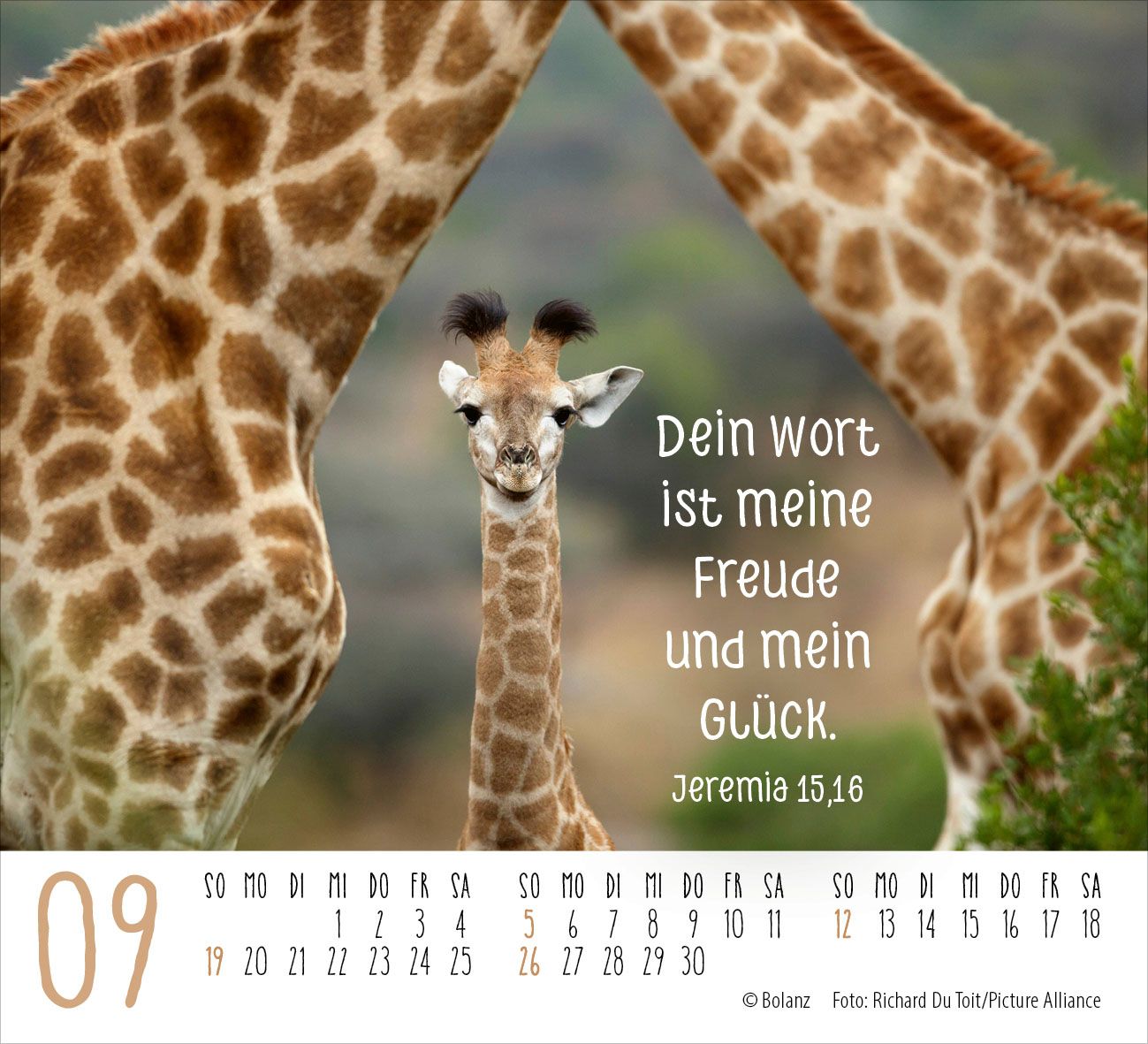 Aufstellkalender - Begegnungen 2027 Minikalender