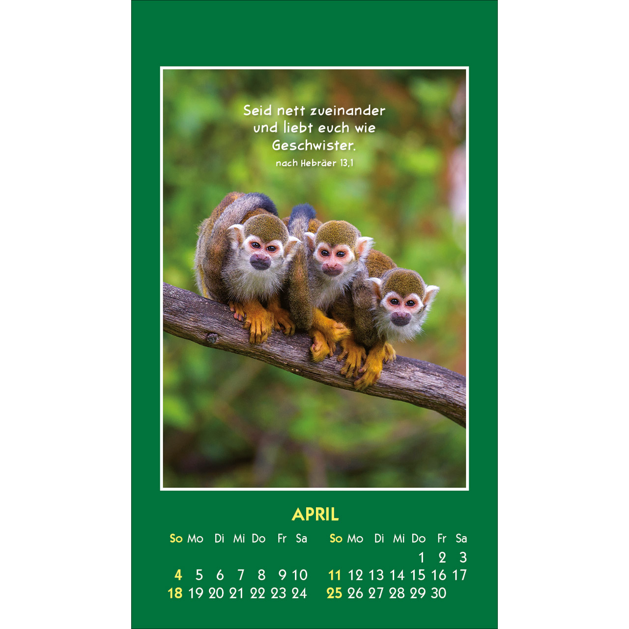 Aufkleberkalender - Hallo Du 2027