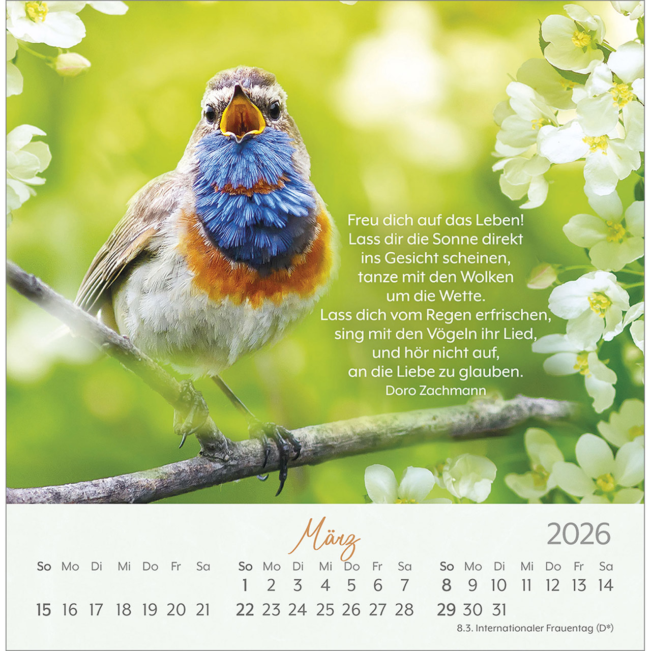 Postkartenkalender - Herzenswünsche 2026