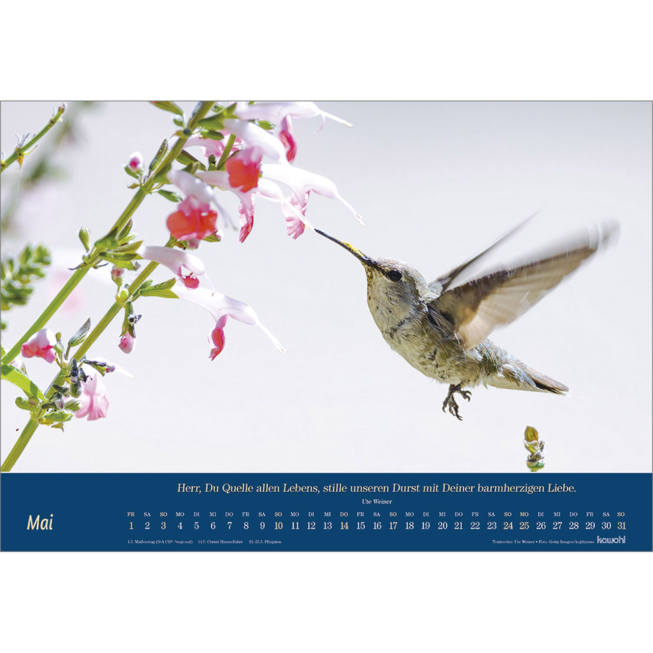 Wandkalender - Atemholen 2026