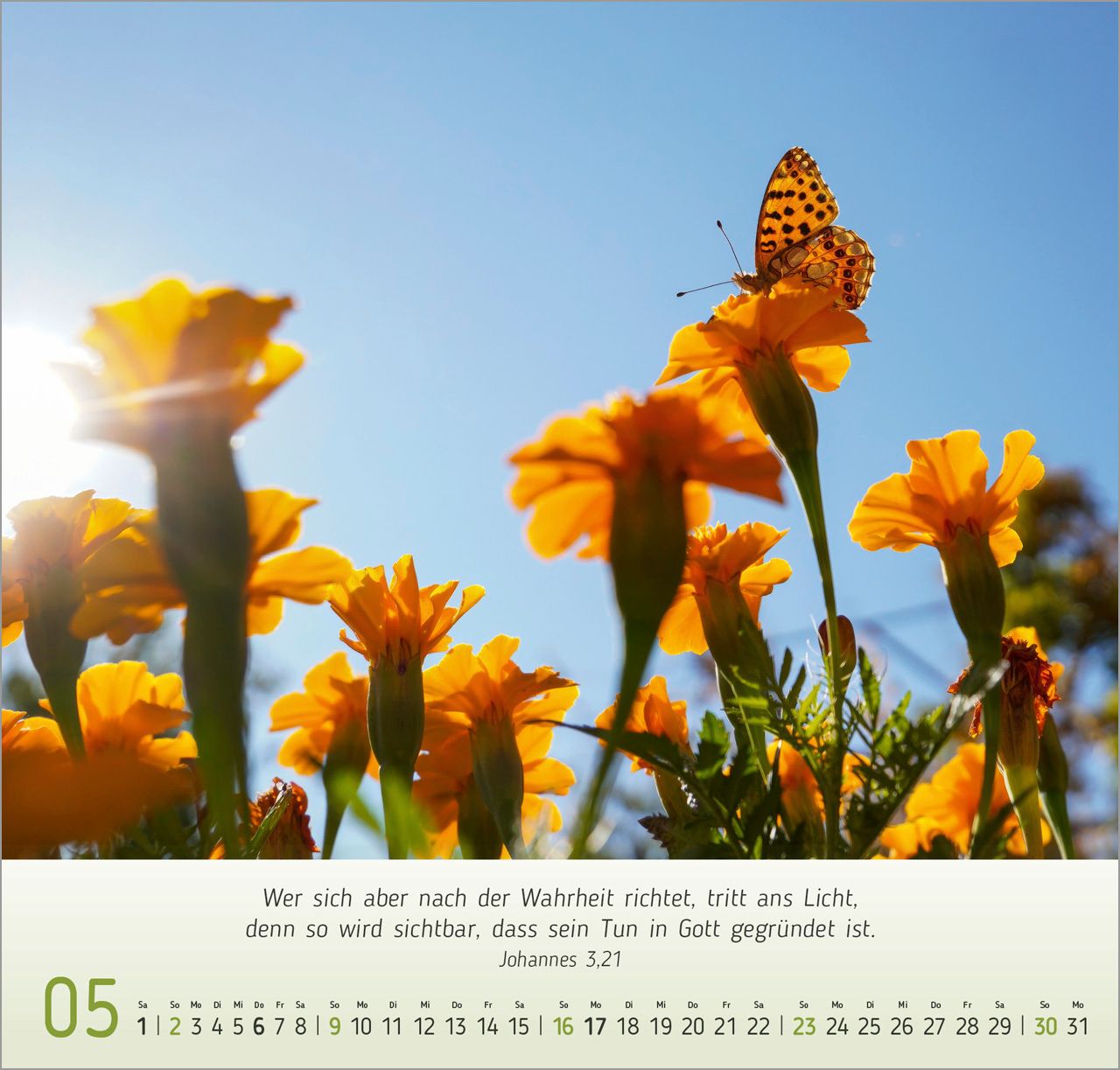 Wandkalender - Licht-Impressionen 2027 Wandkalender