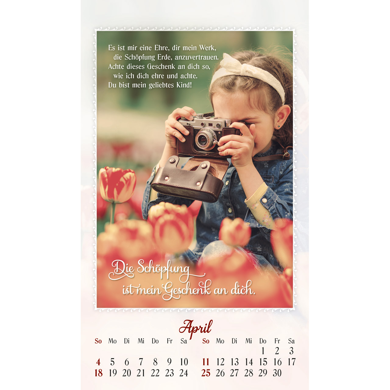Postkartenkalender - Ich bin da und dir ganz nah 2027