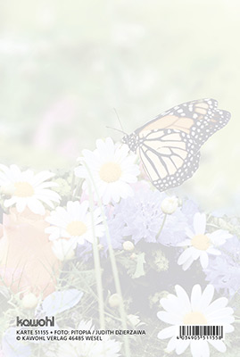 Faltkarte - Zum Geburtstag alles Gute - Schmetterling Blumen