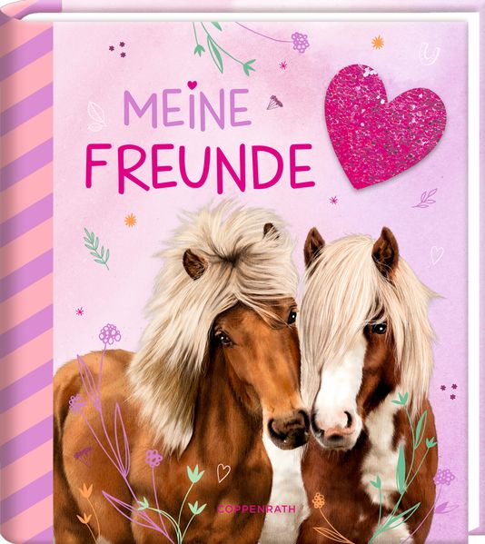 Buch - Meine Freunde