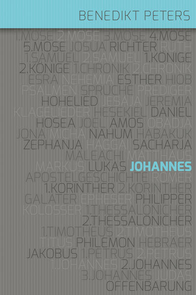 Buch - Kommentar zum Johannes-Evangelium