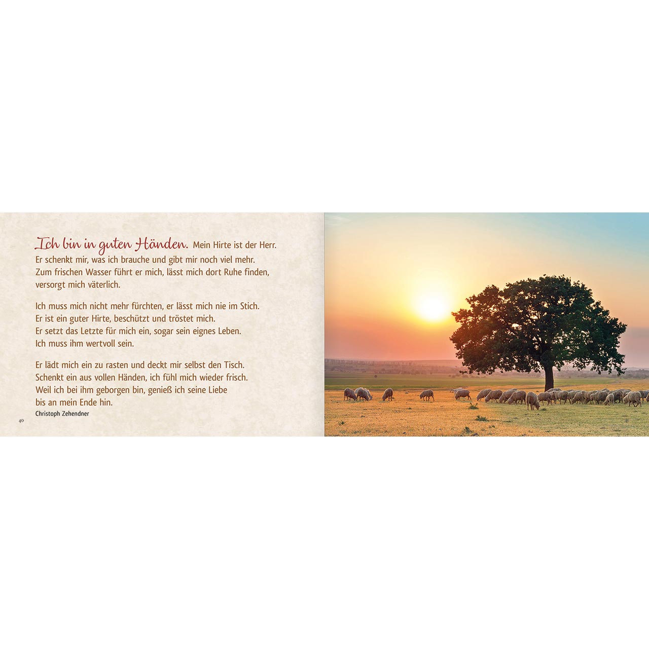 Geschenkbuch - Der Herr ist mein Hirte - Lämmchen Wiese