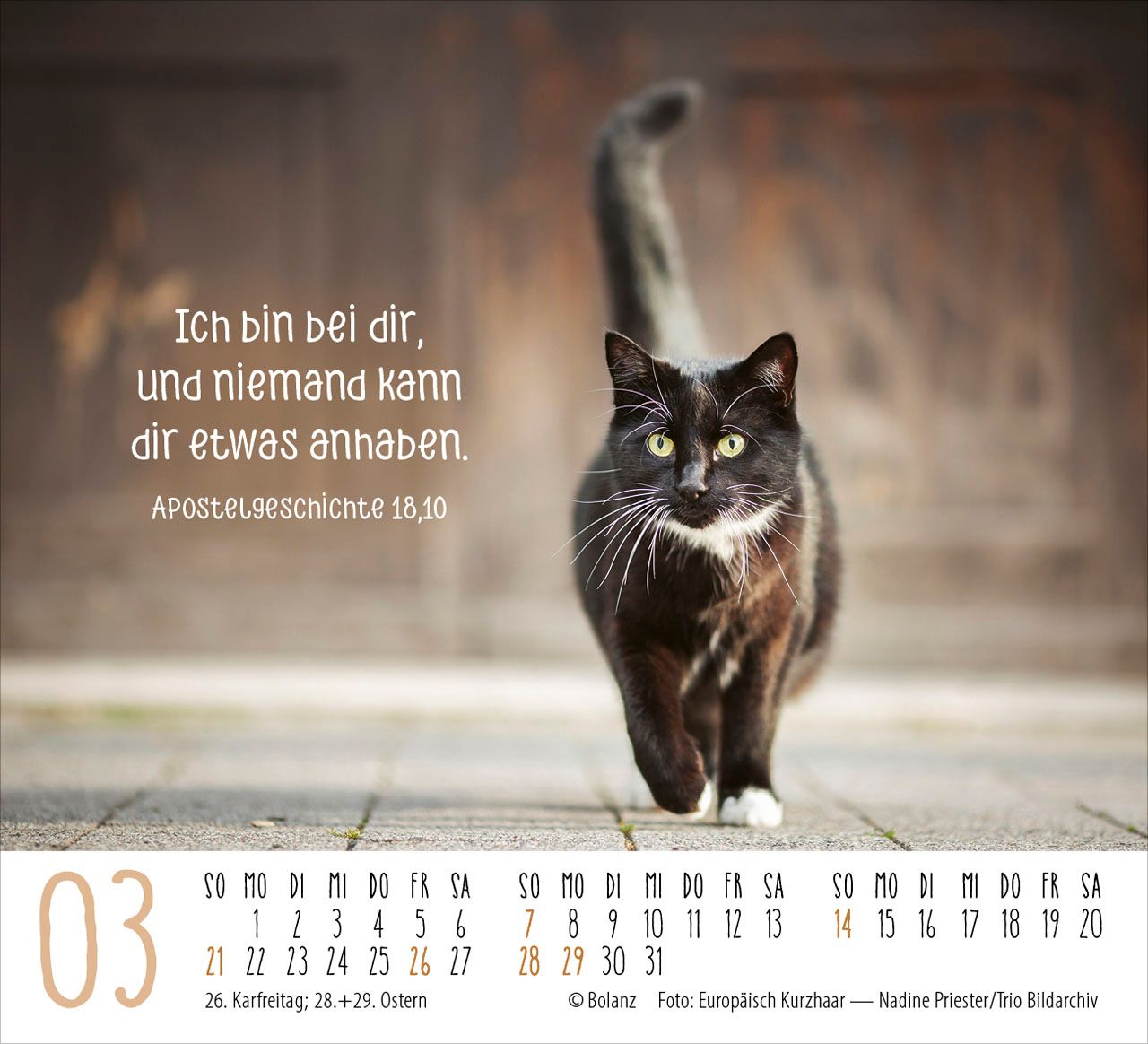 Aufstellkalender - Katzen 2027