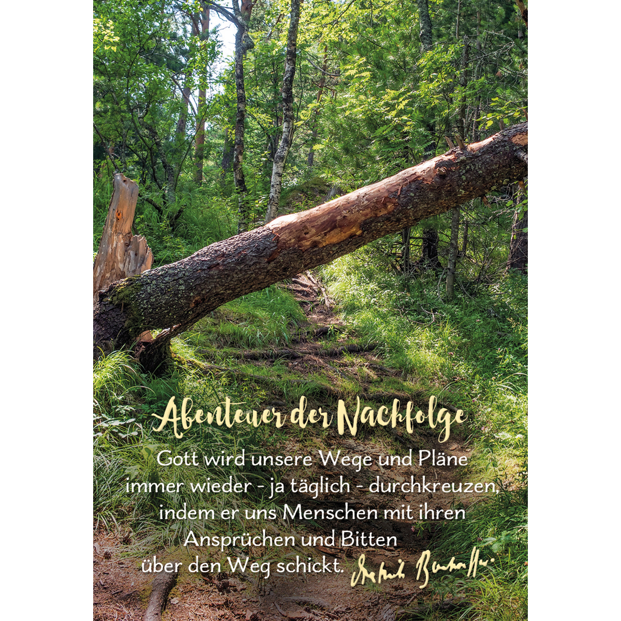 Karten-Box Papier - Gott ist mit dir - Lavendel Baum Sonne Berge Wolken