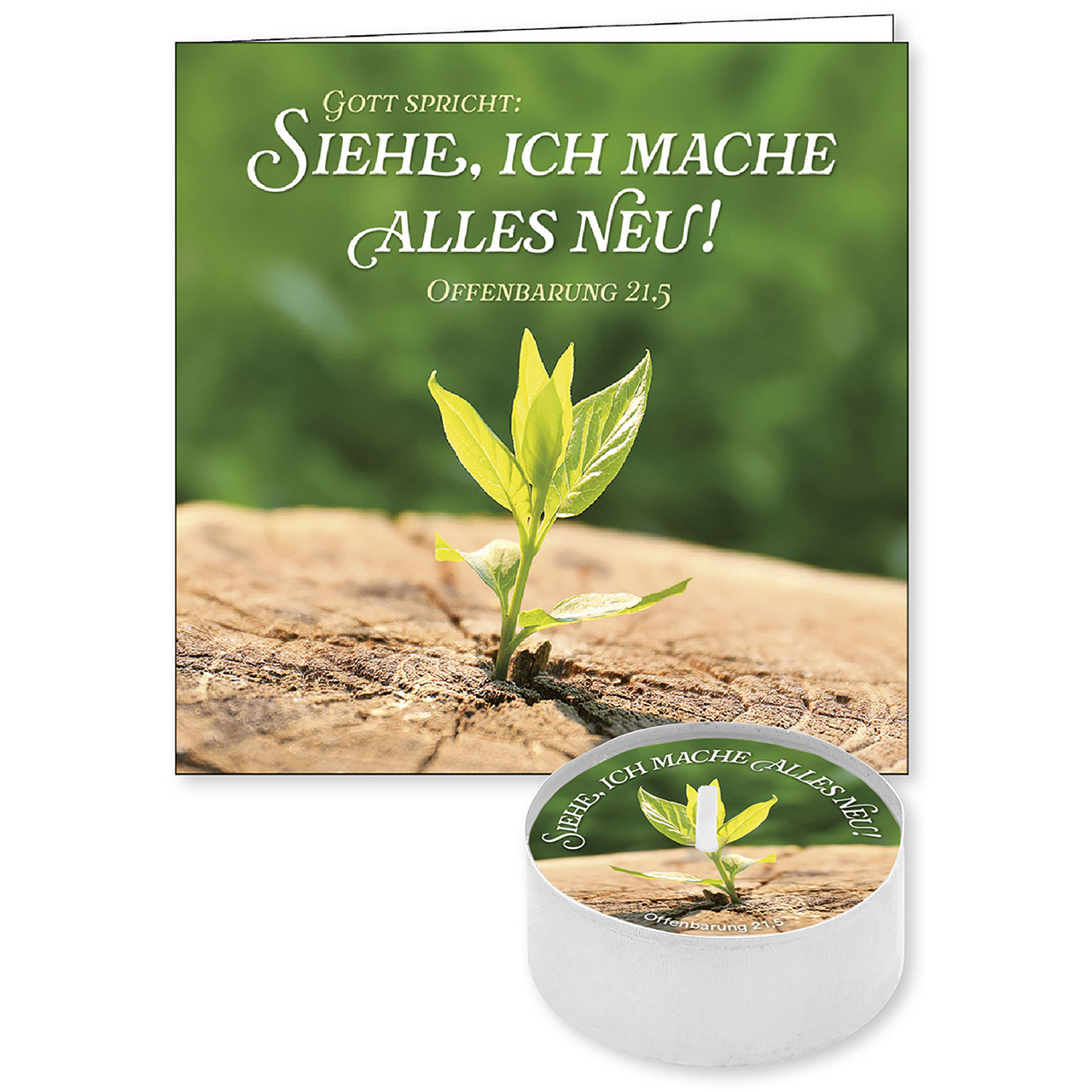 Gott spricht: Siehe, ich mache alles neu! Teelicht mit Grußkarte - Gott spricht: Siehe, ich mache alles neu! - Trieb Pflanze jung grün Sprössling Baumstamm Blätter