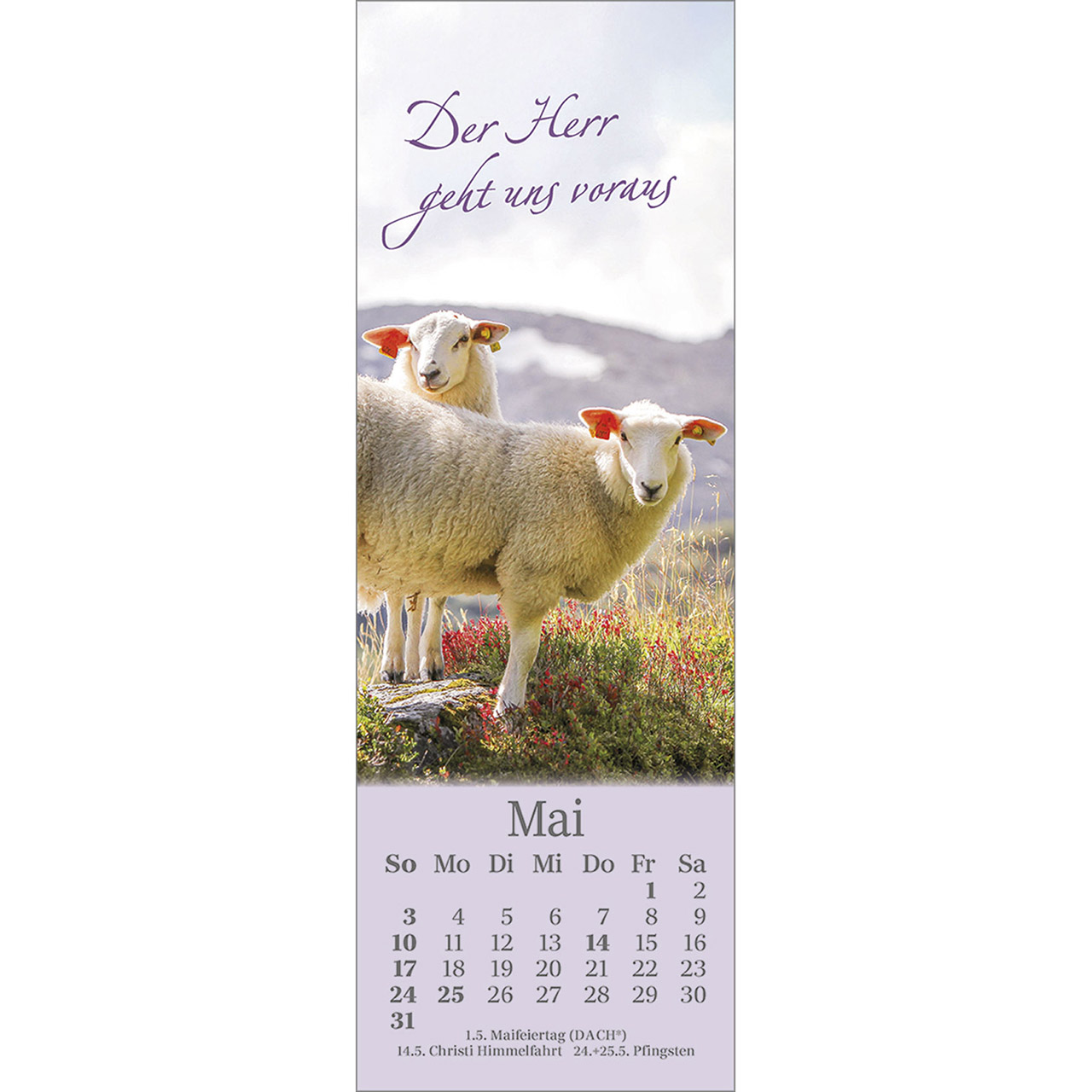 Lesezeichenkalender - Sei behütet jeden Tag 2026