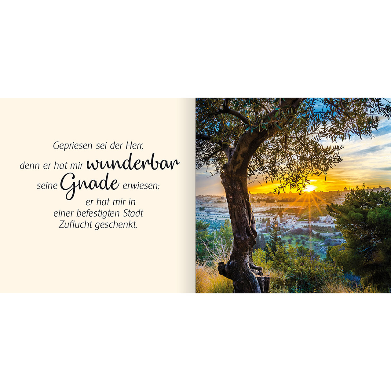 Geschenkbuch - Ich schenke dir - Psalm 31 - Schaukel Wiese Bäume